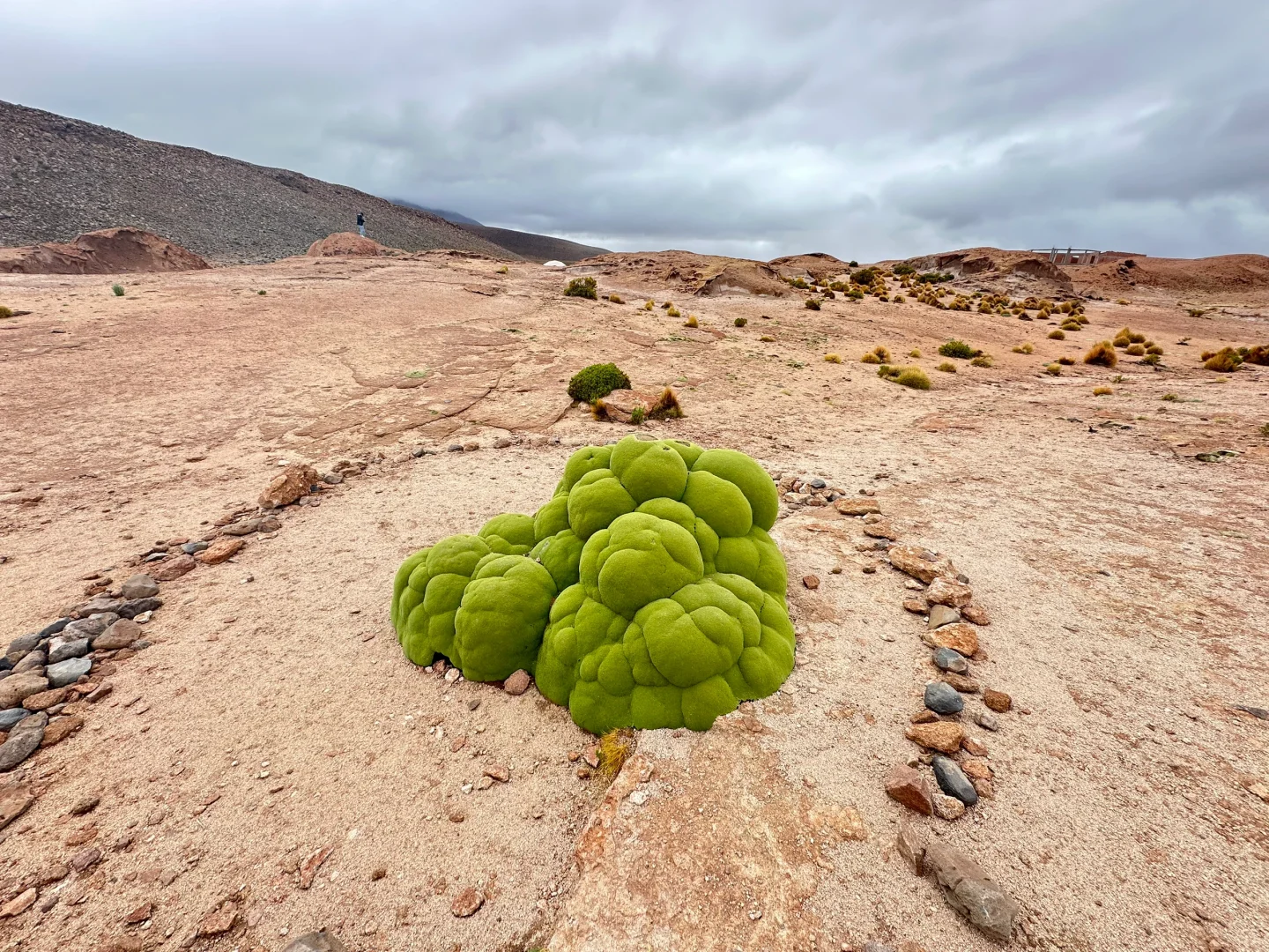 总结：2024年去过的十佳旅行地，排名分先后