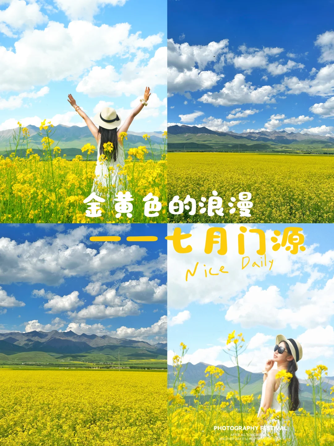 七月门源,大自然的顶级金色浪漫🧡🧡