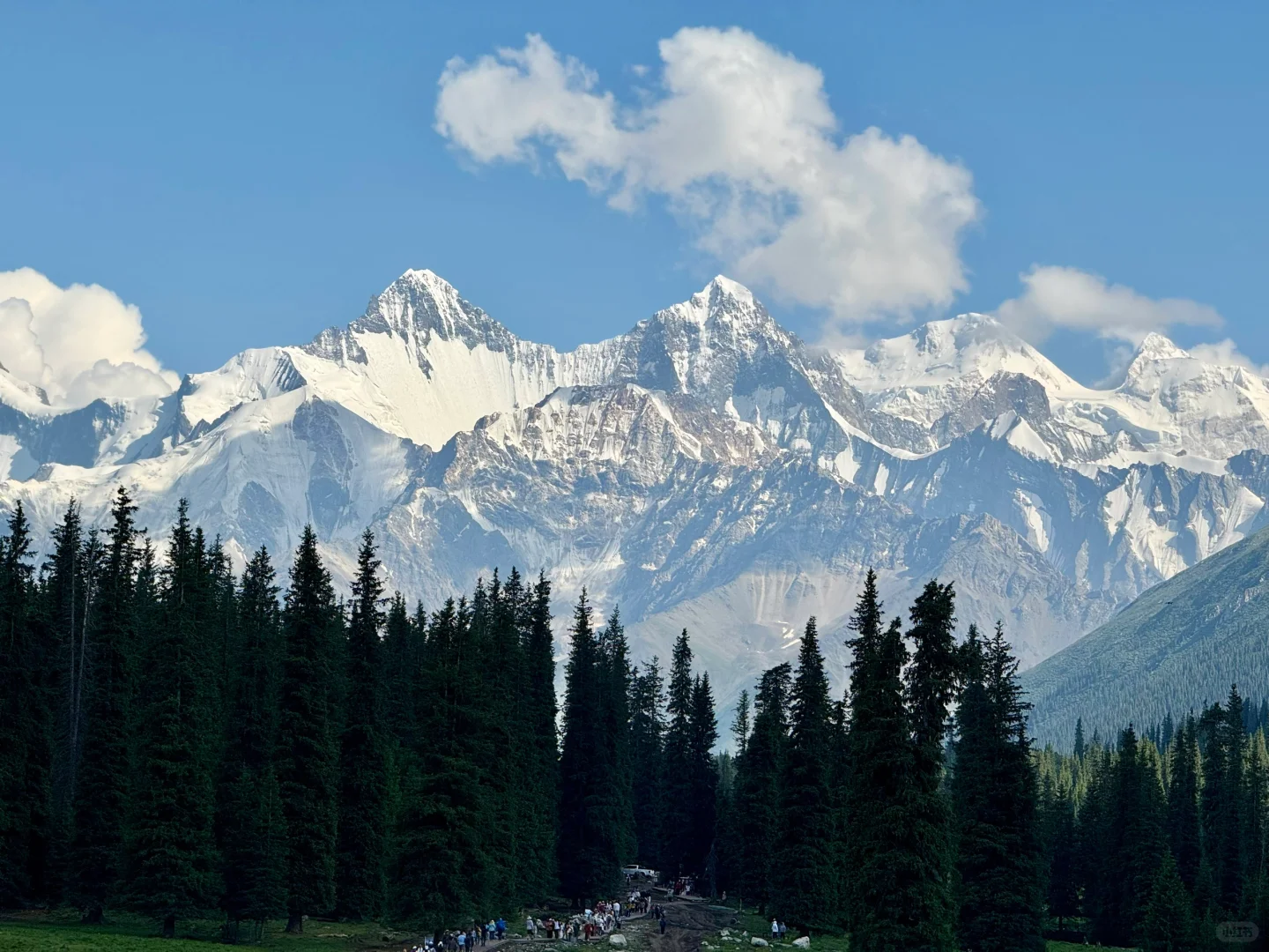 雪山草原🏔️夏塔的美无可替代……