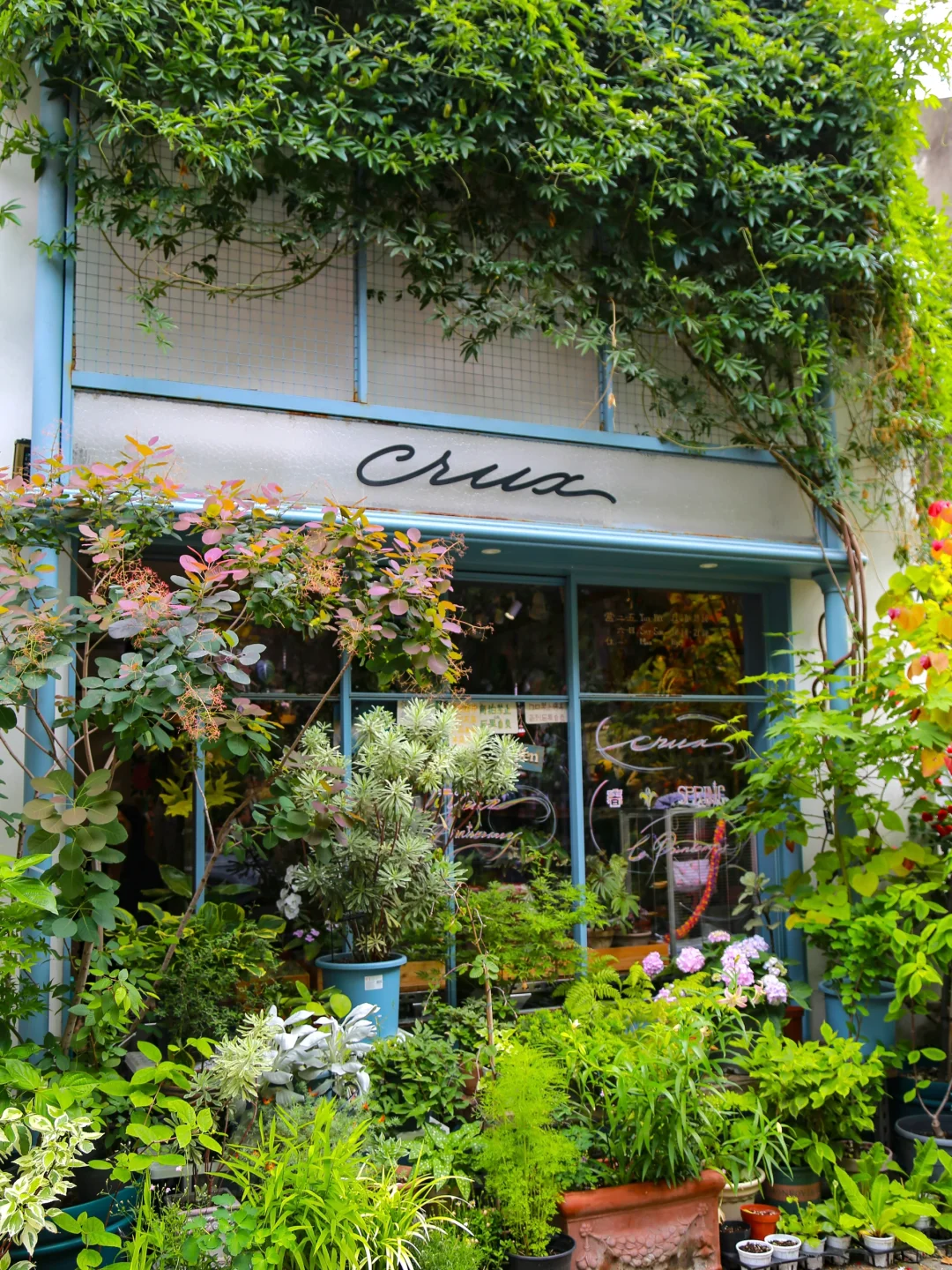 南京不花钱能玩一天的小众citywalk路线…