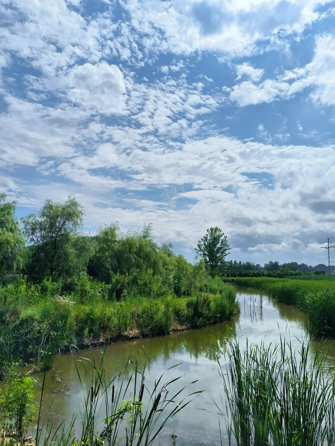 苏马荡周边游（建南、汪营）