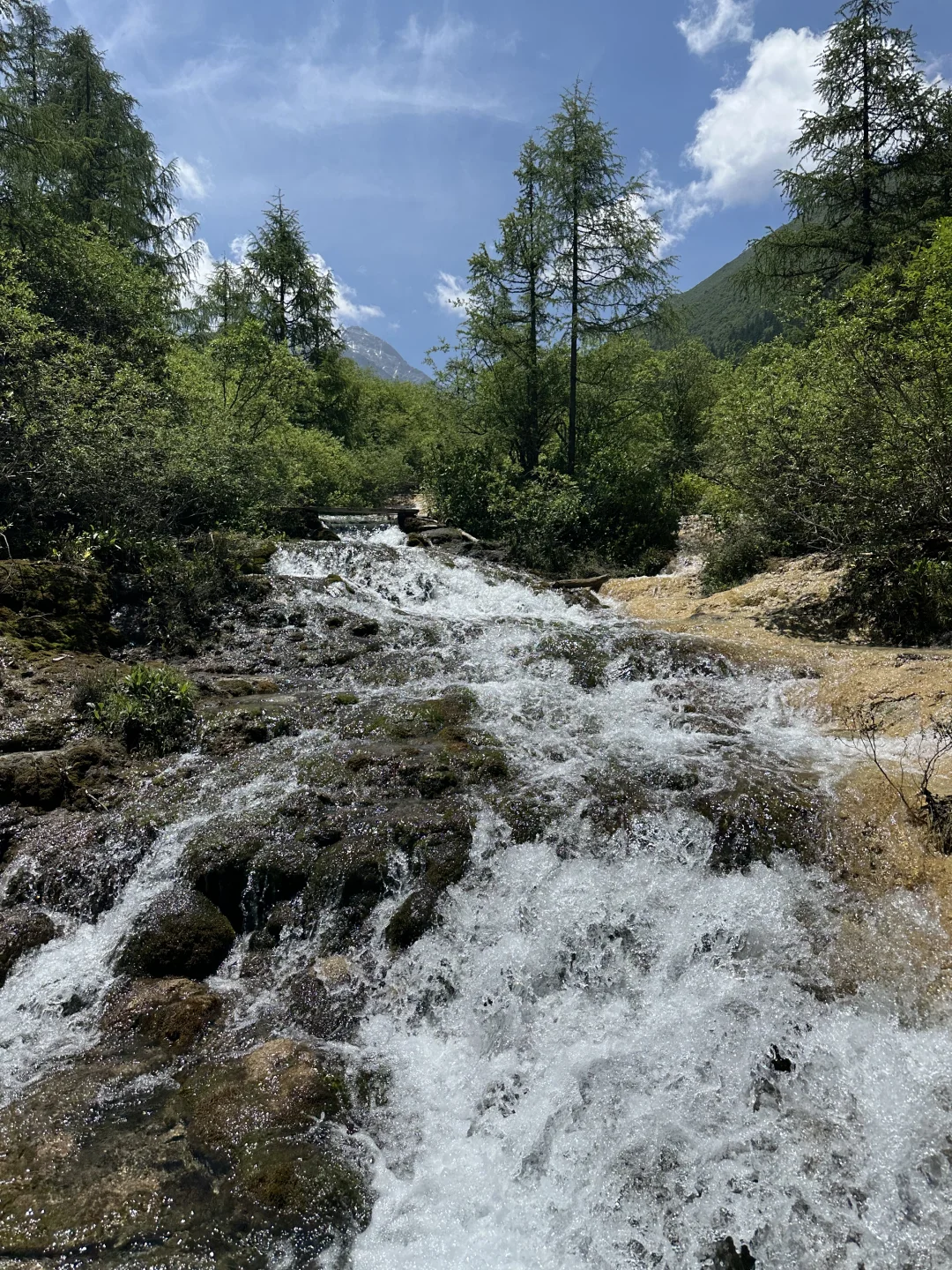 黄龙五彩池｜7.17实况图片🤩