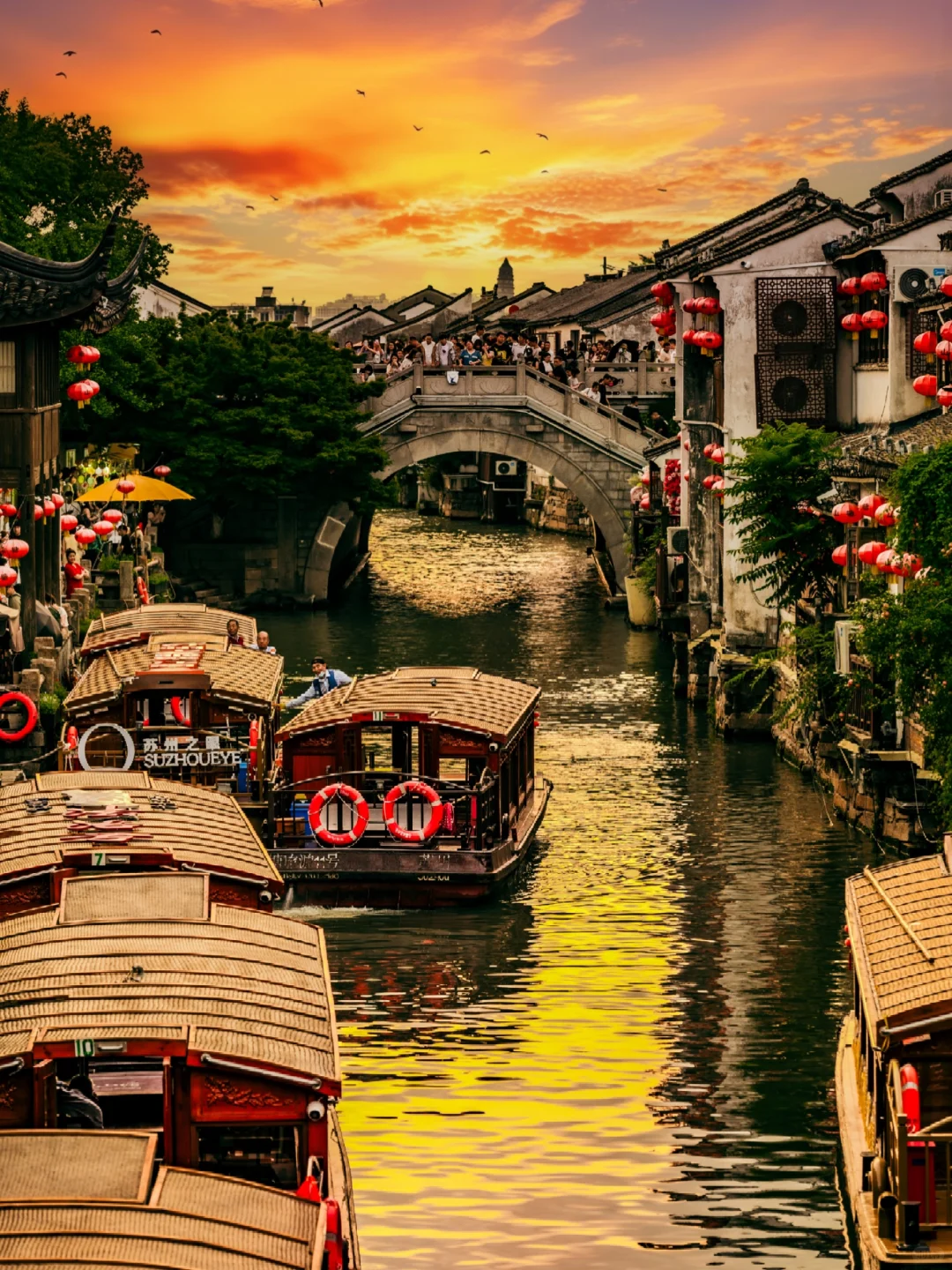 夏日游苏州❗建议直接复制这条路线❗