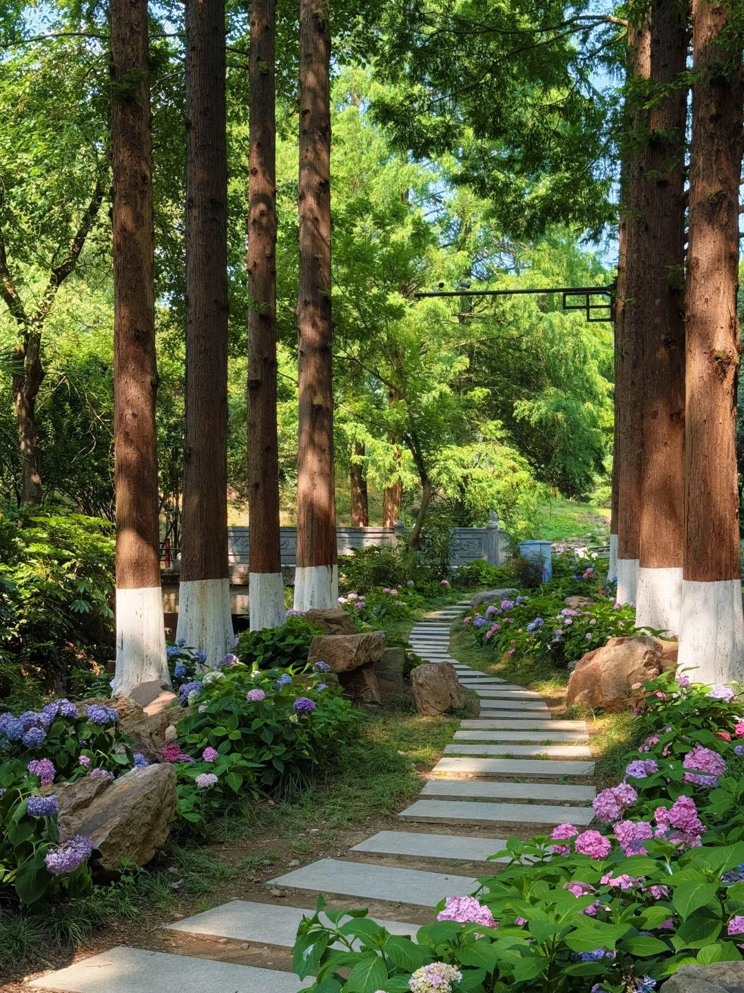 live｜藏在南京市区的“绿野仙踪” 人少免费