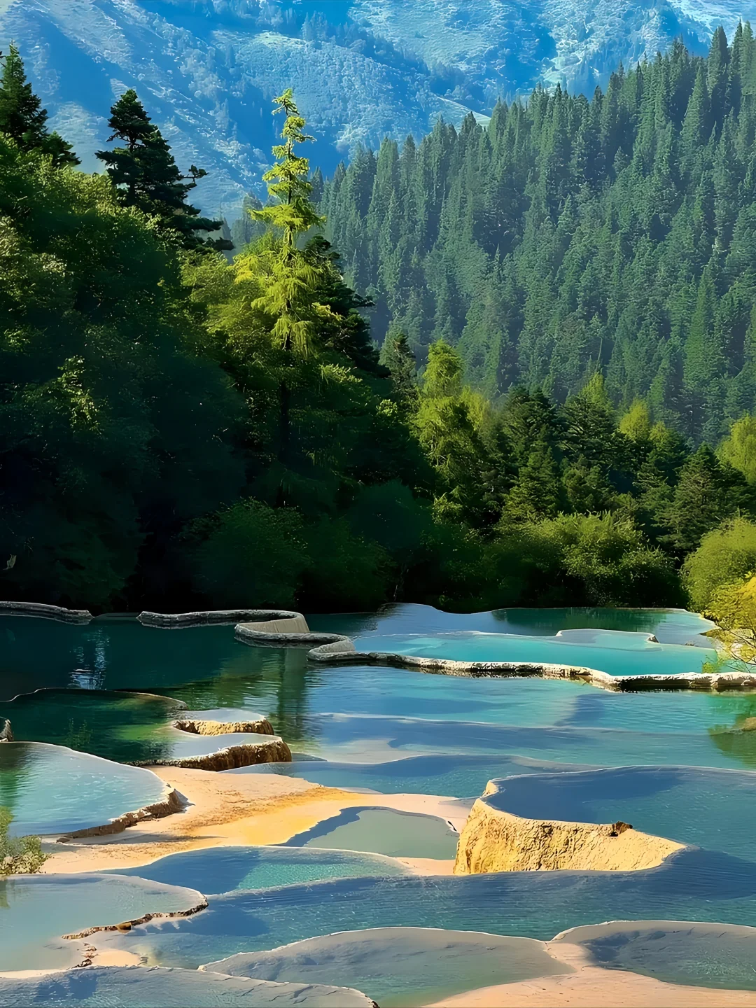 🔥【九寨沟仙境探秘】保姆级