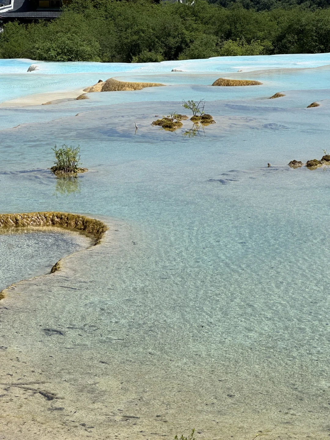 黄龙五彩池｜7.17实况图片🤩