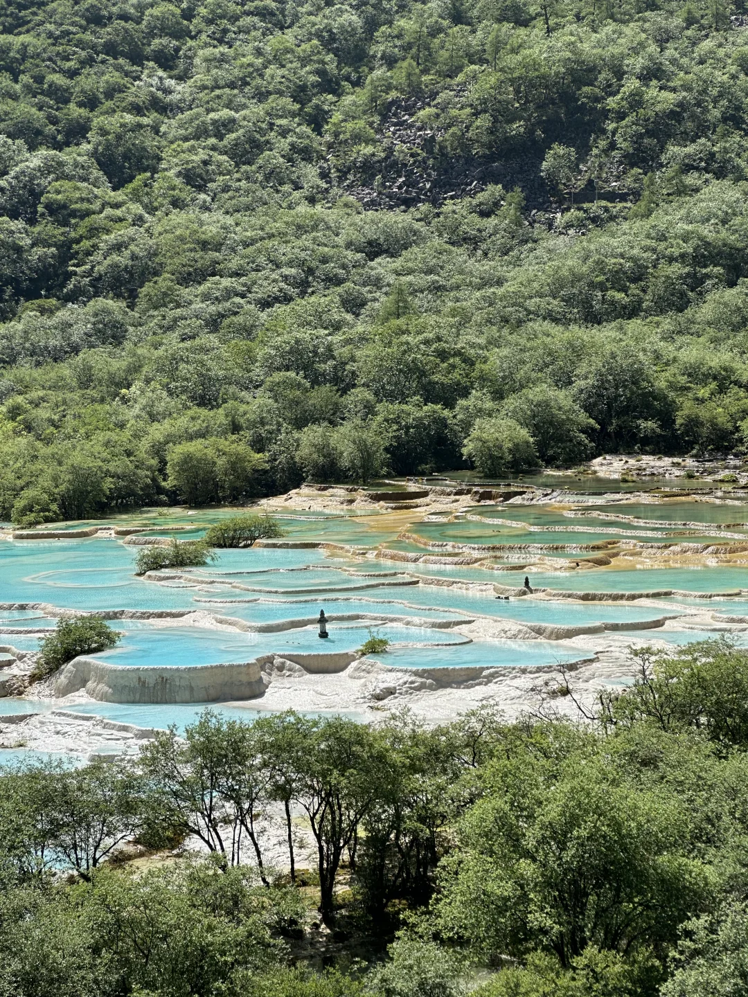 黄龙五彩池｜7.17实况图片🤩