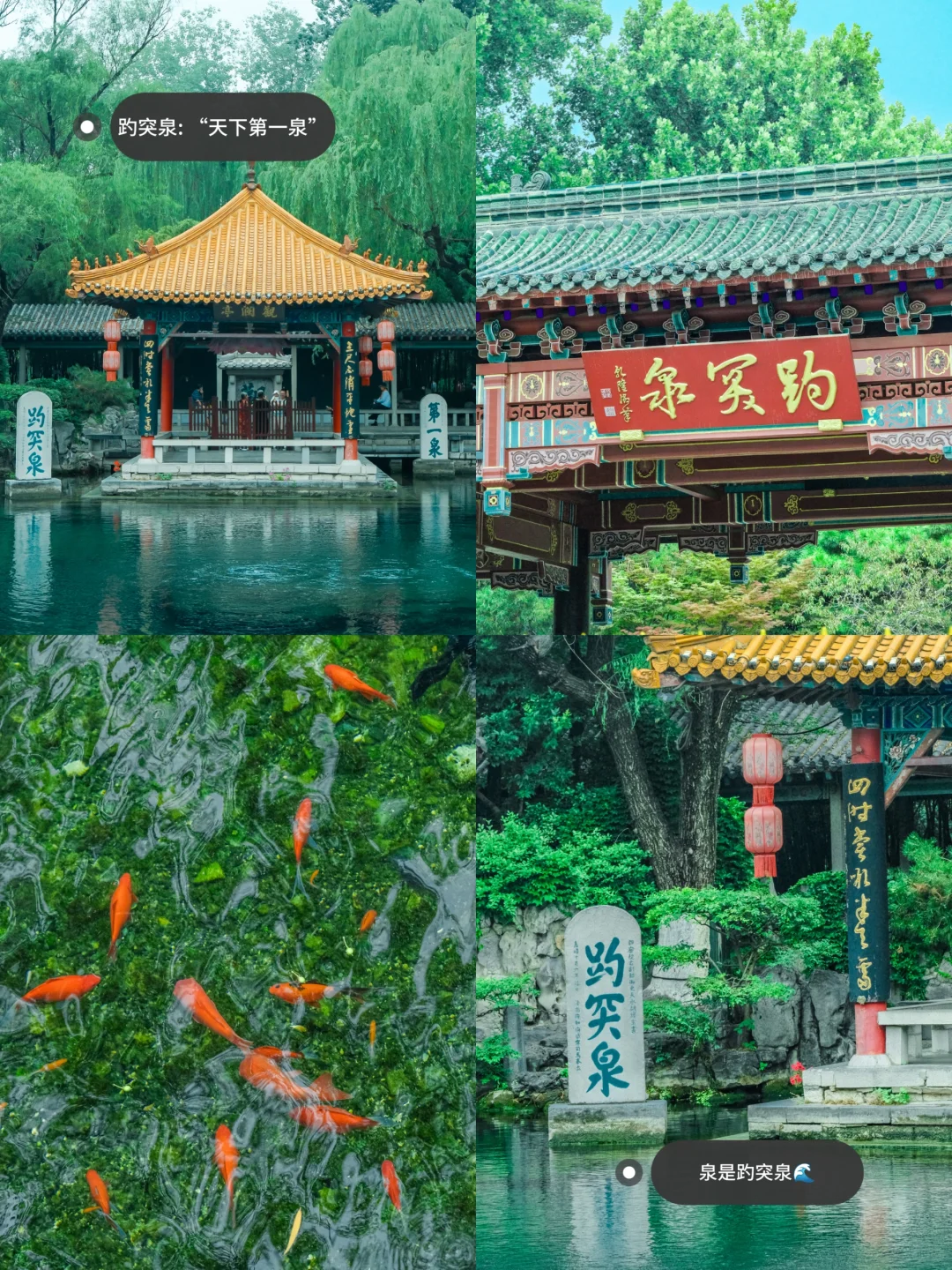 懒人直接抄❗一天逛完济南必打卡景点🗺️