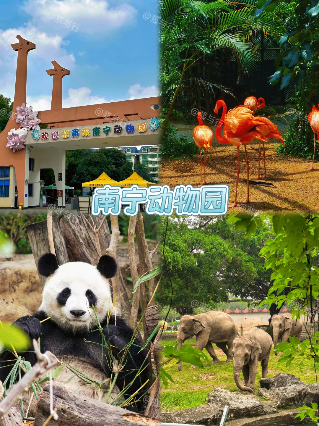 📍南宁｜3天2夜旅游攻略✨