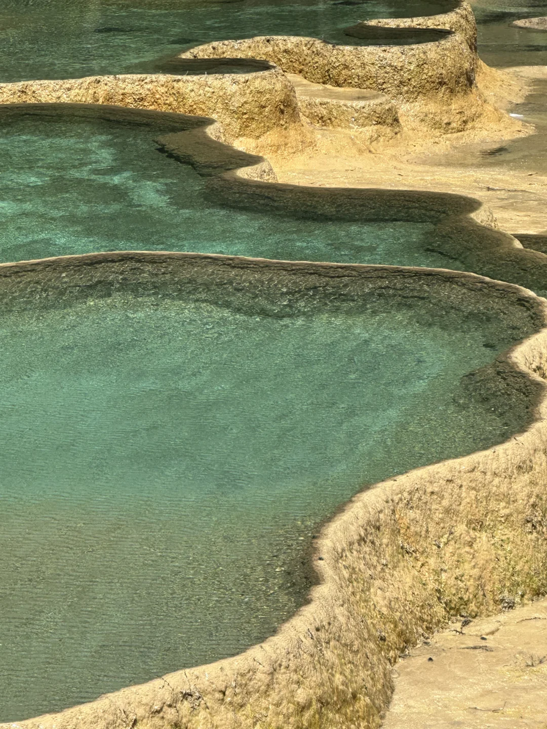 黄龙五彩池｜7.17实况图片🤩