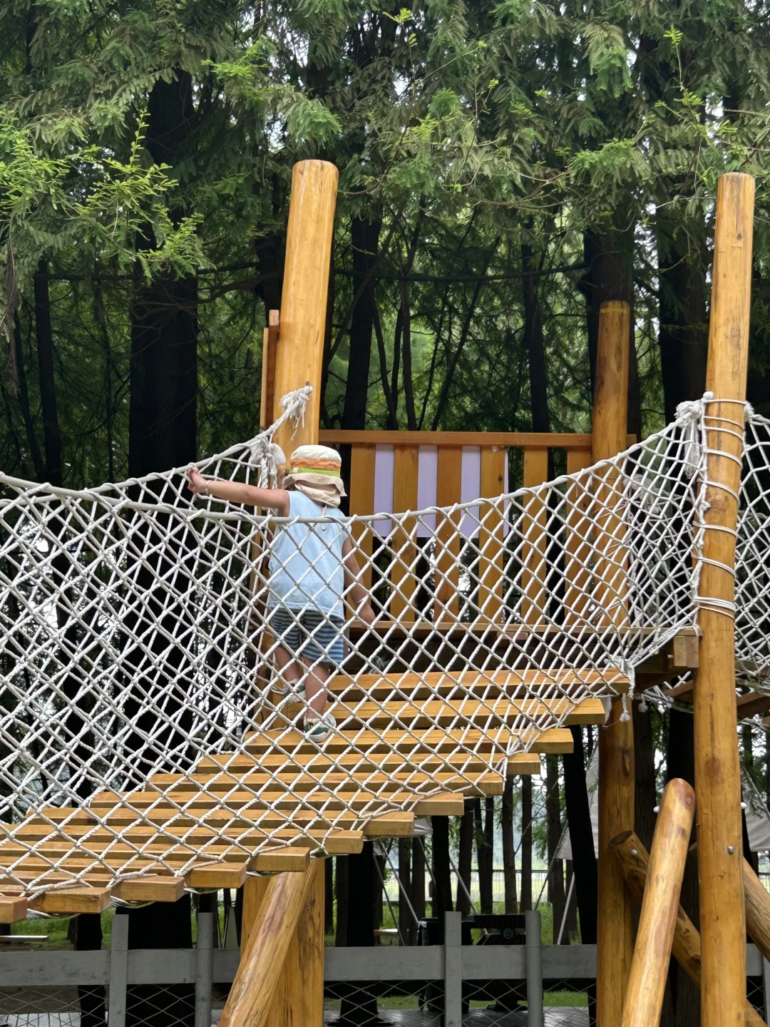 闯入现实版“绿野仙踪”🍃🌳