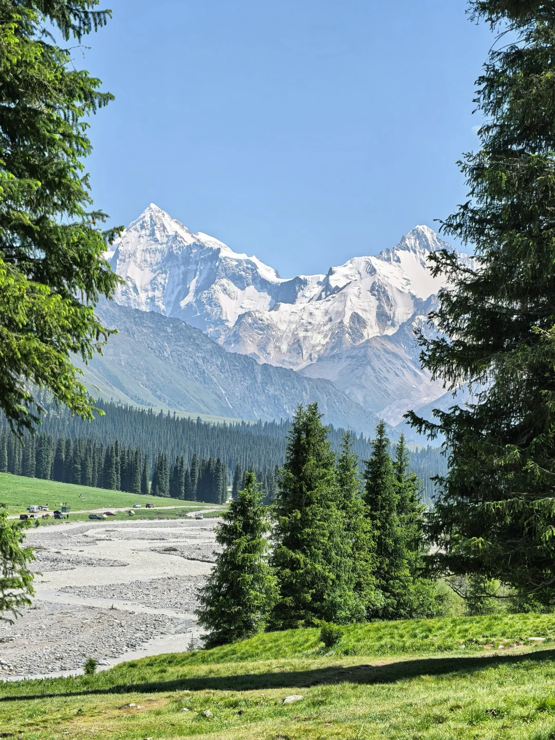 雪山草原🏔️夏塔的美无可替代……