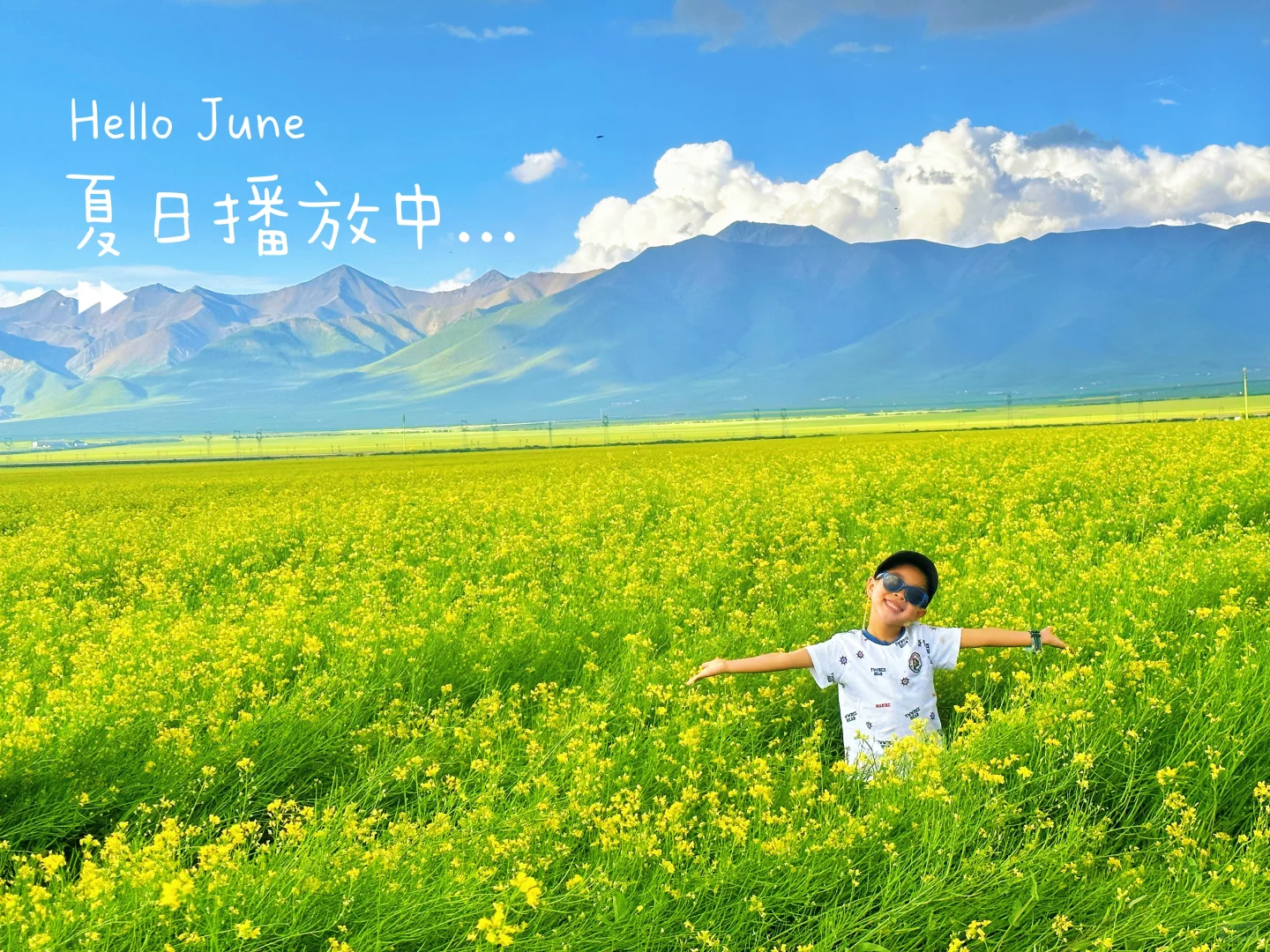 七月门源,大自然的顶级金色浪漫🧡🧡