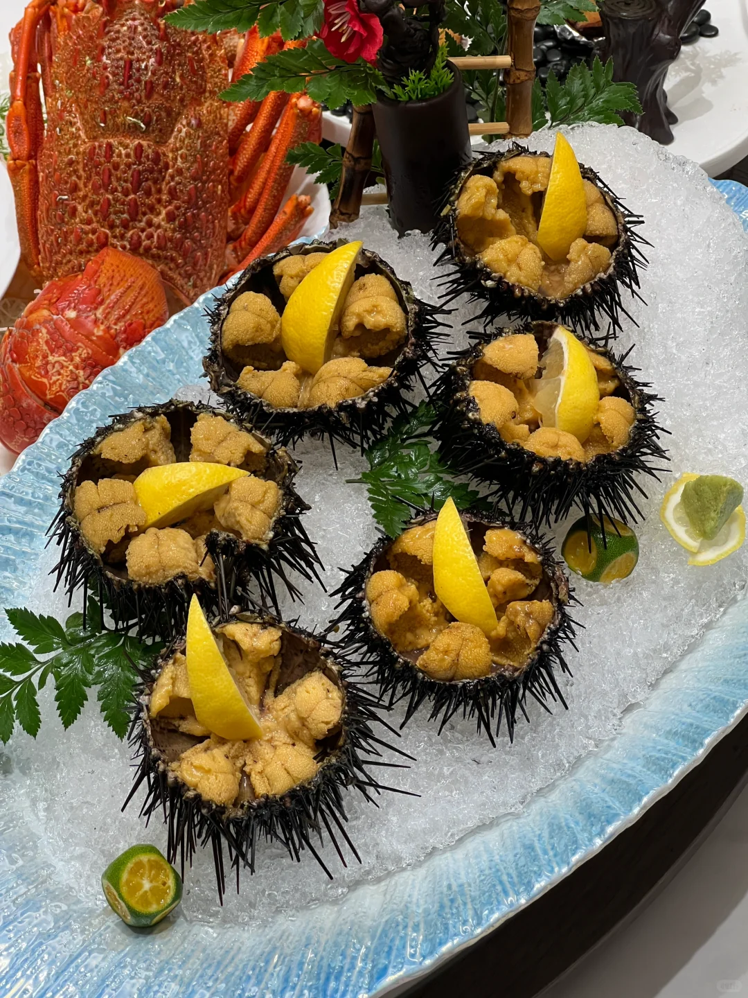 大连这里……真的被严重低估了