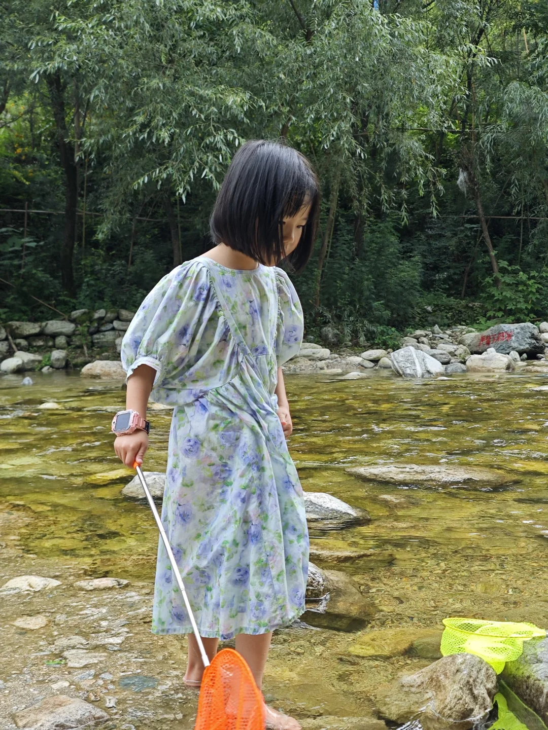 终南山寨|藏在秦岭的童话世界!