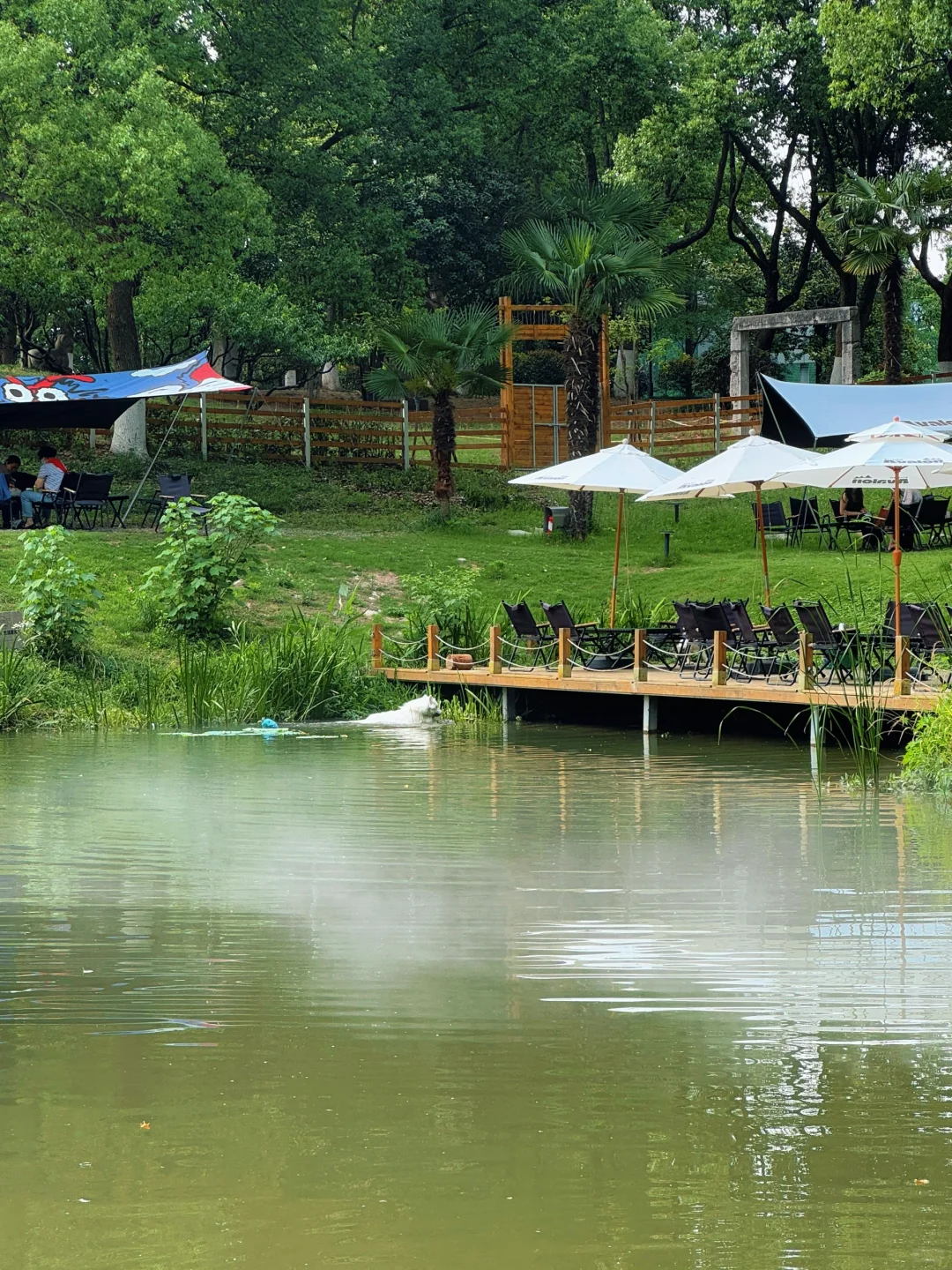 live｜藏在南京市区的“绿野仙踪” 人少免费