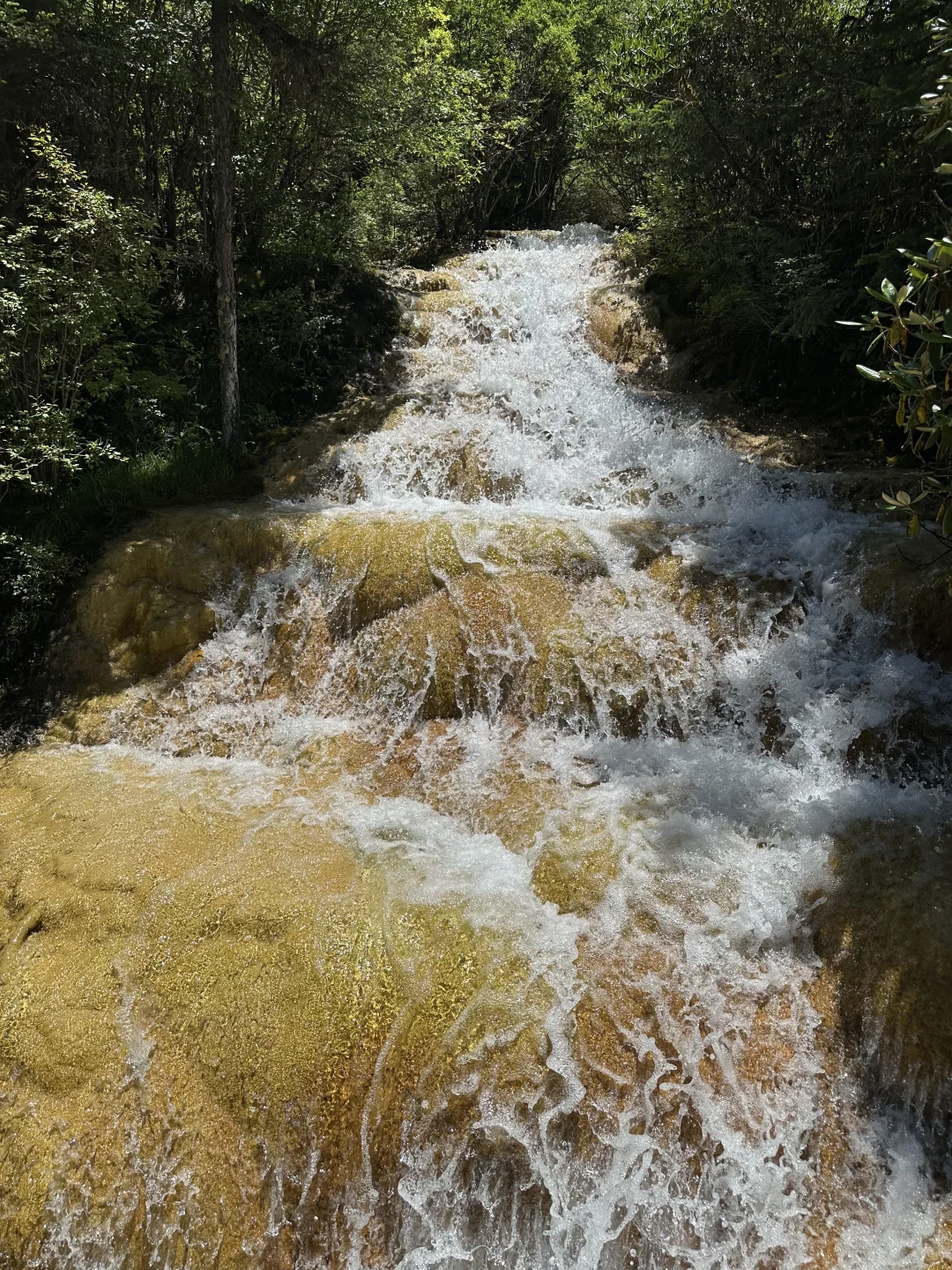 黄龙五彩池｜7.17实况图片🤩