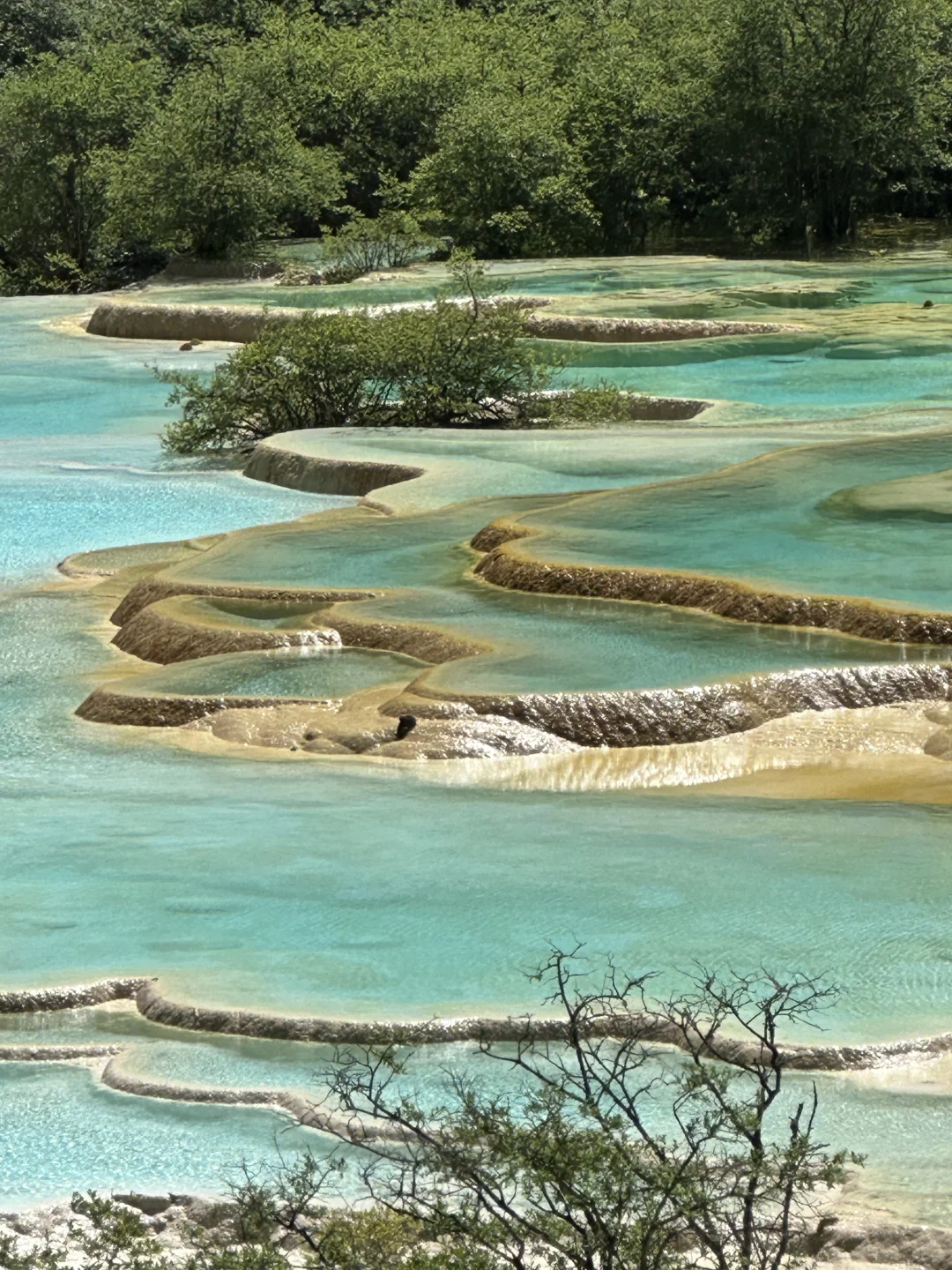 黄龙五彩池｜7.17实况图片🤩