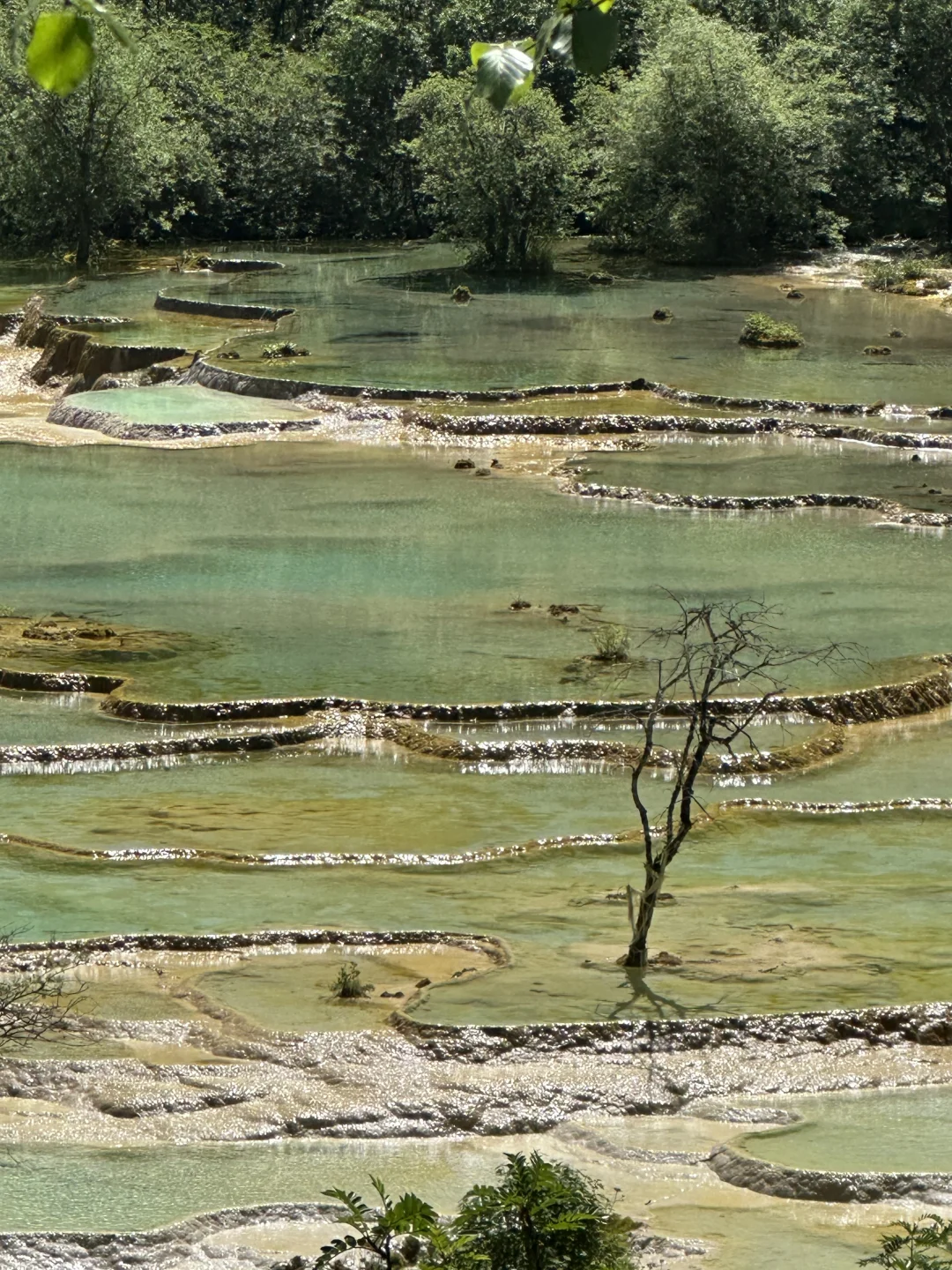 黄龙五彩池｜7.17实况图片🤩