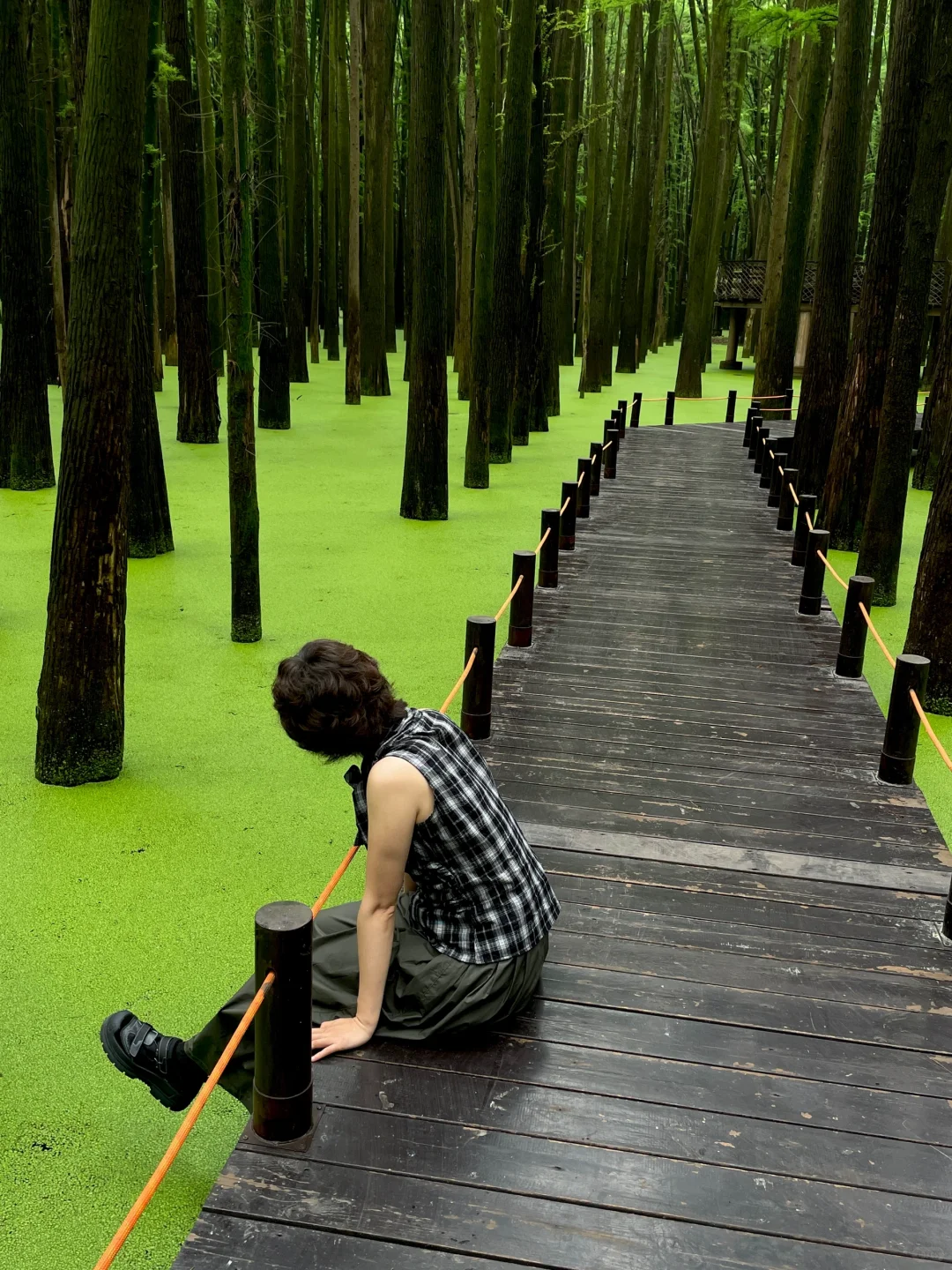 在这个夏天闯入了童话般的水上森林🌲青山湖