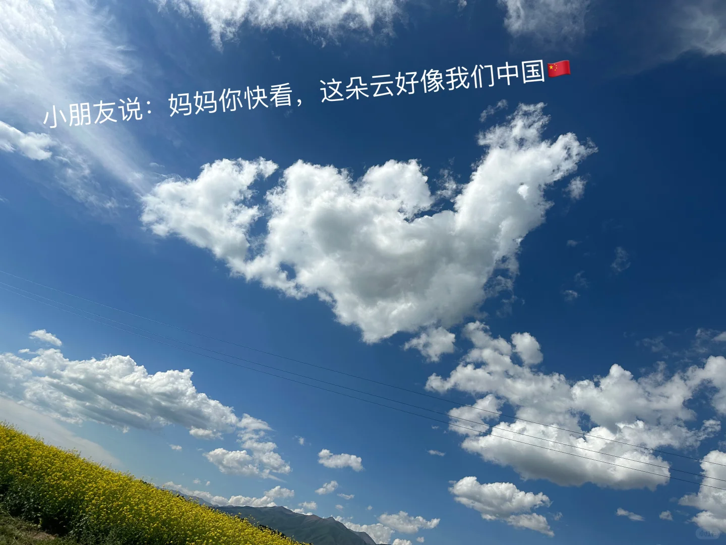 七月门源,大自然的顶级金色浪漫🧡🧡