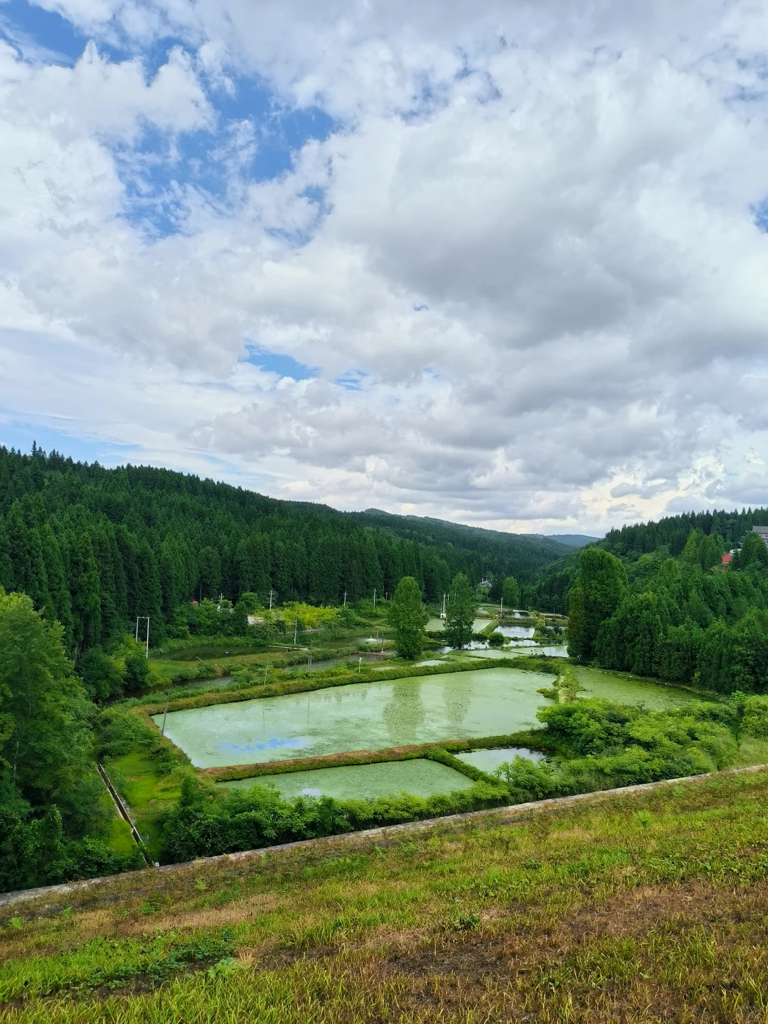 苏马荡周边游（建南、汪营）