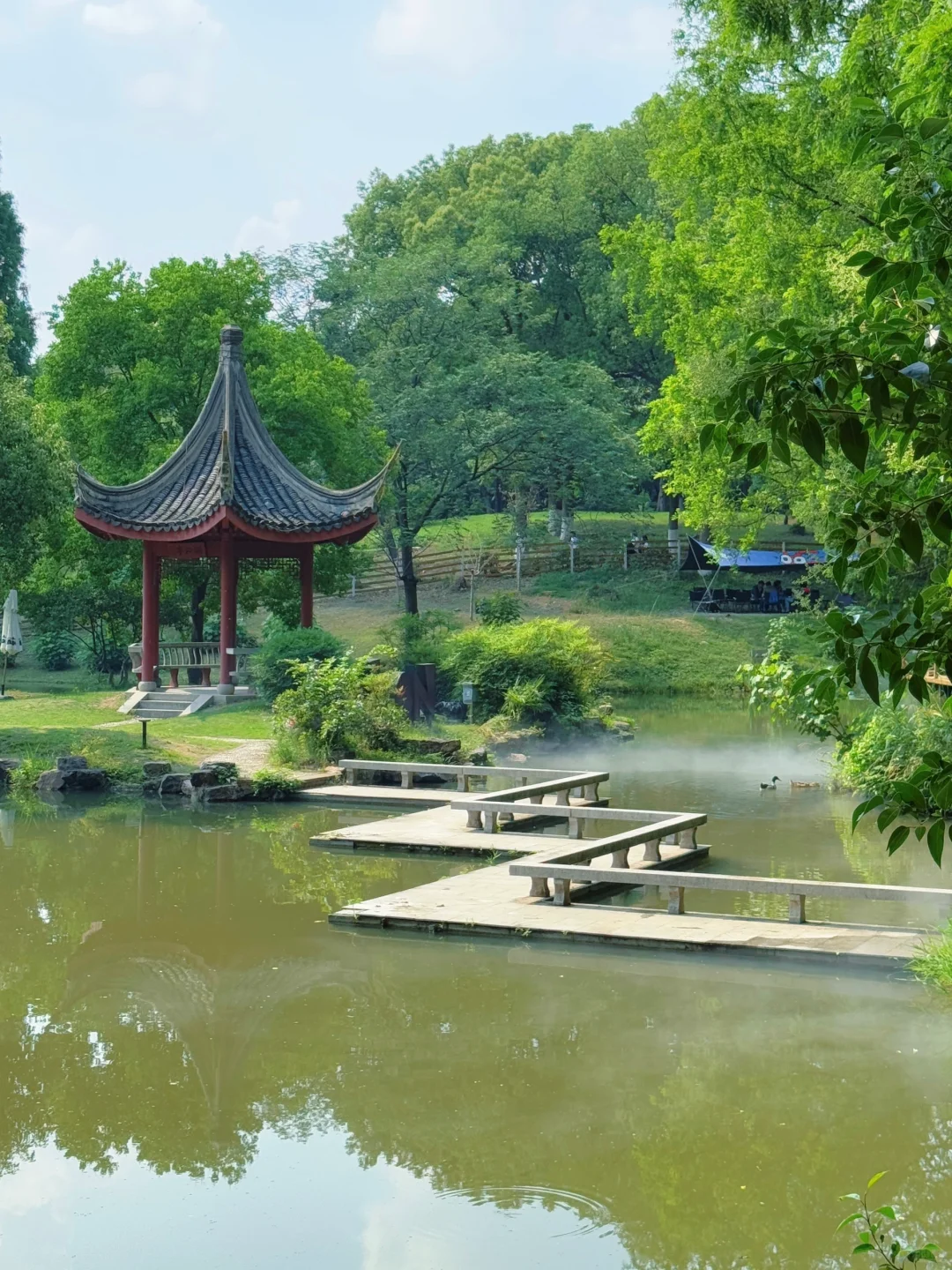 live｜藏在南京市区的“绿野仙踪” 人少免费