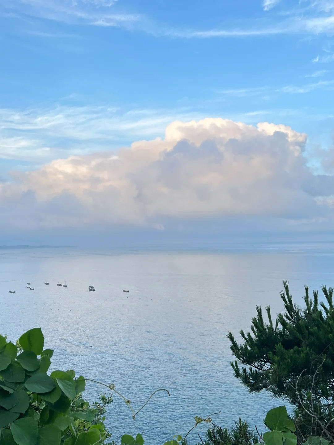 大连这里……真的被严重低估了