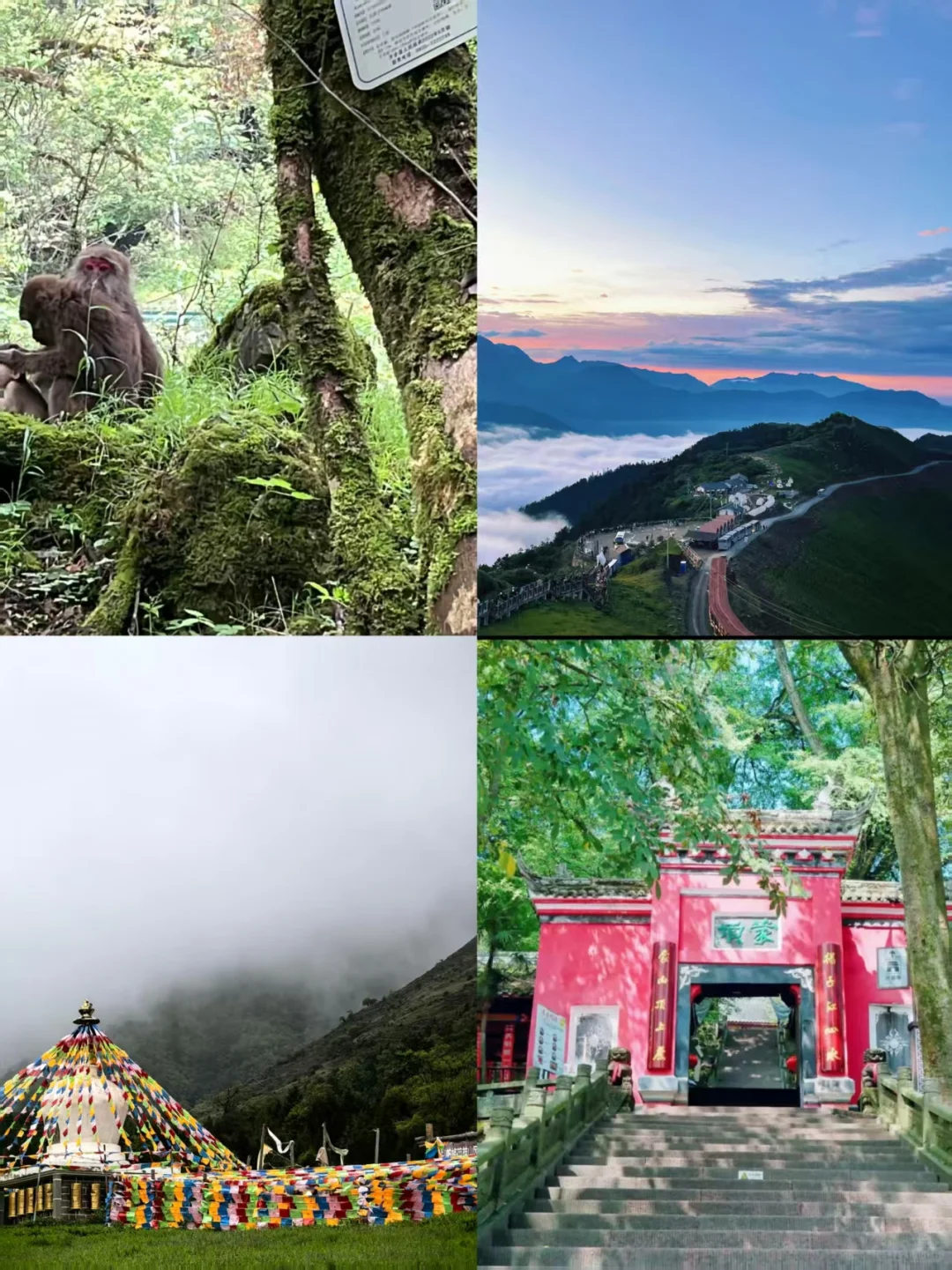 雅安必打卡景点:附必去清单