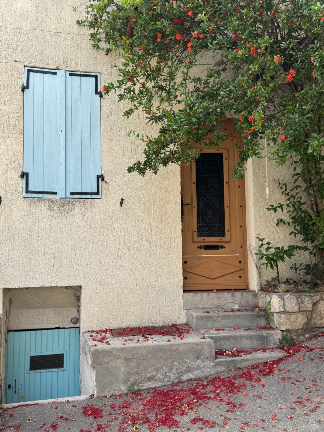 为啥我觉得用小红书查欧洲旅游攻略越看越乱