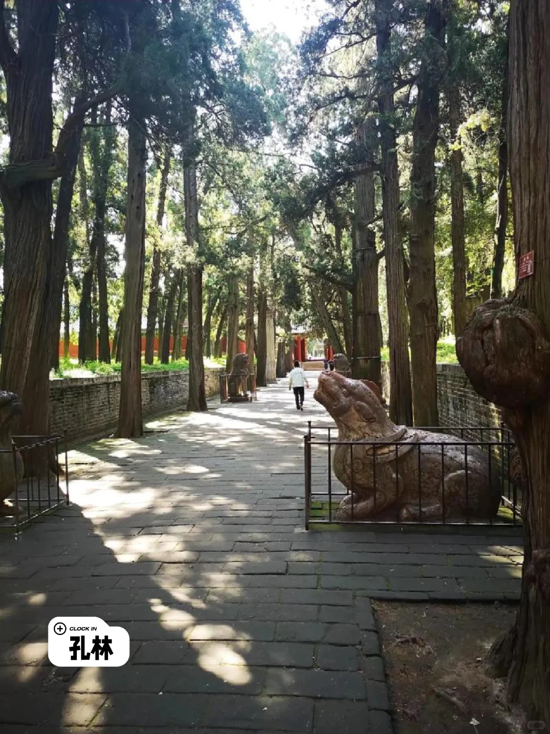 曲阜三大旅行地标超全PK！选对地方不踩雷