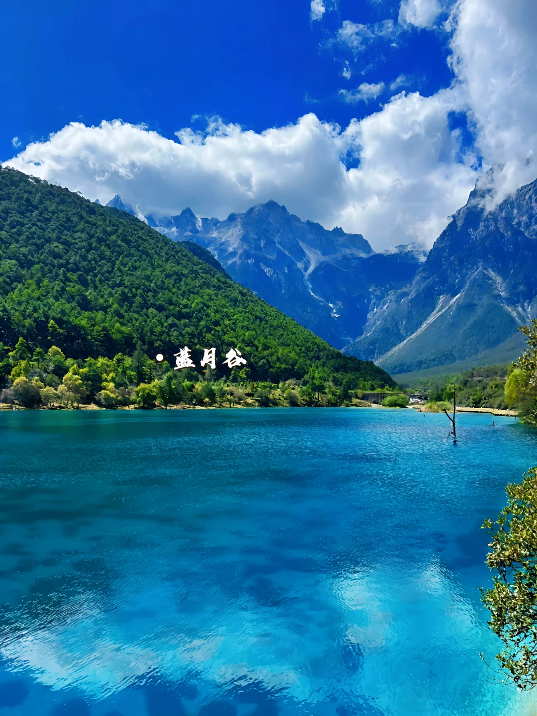 云南必去十大景点