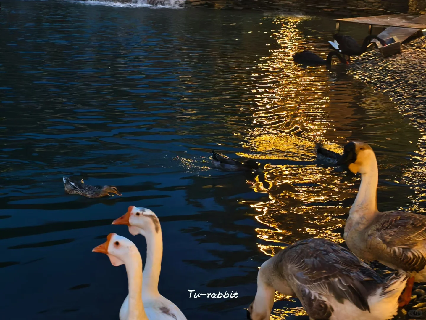 蒙山圣境，太惊艳了！这份攻略收藏好哦