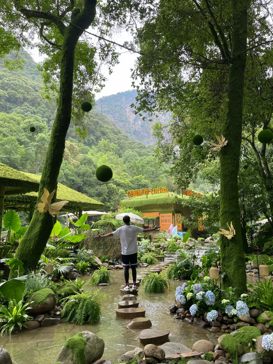 在福建！！在福建！！发现了现实版绿野仙踪🍃