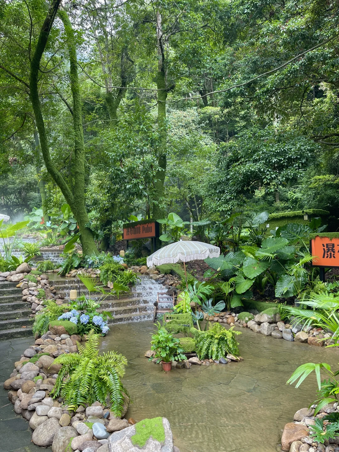 在福建！！在福建！！发现了现实版绿野仙踪🍃