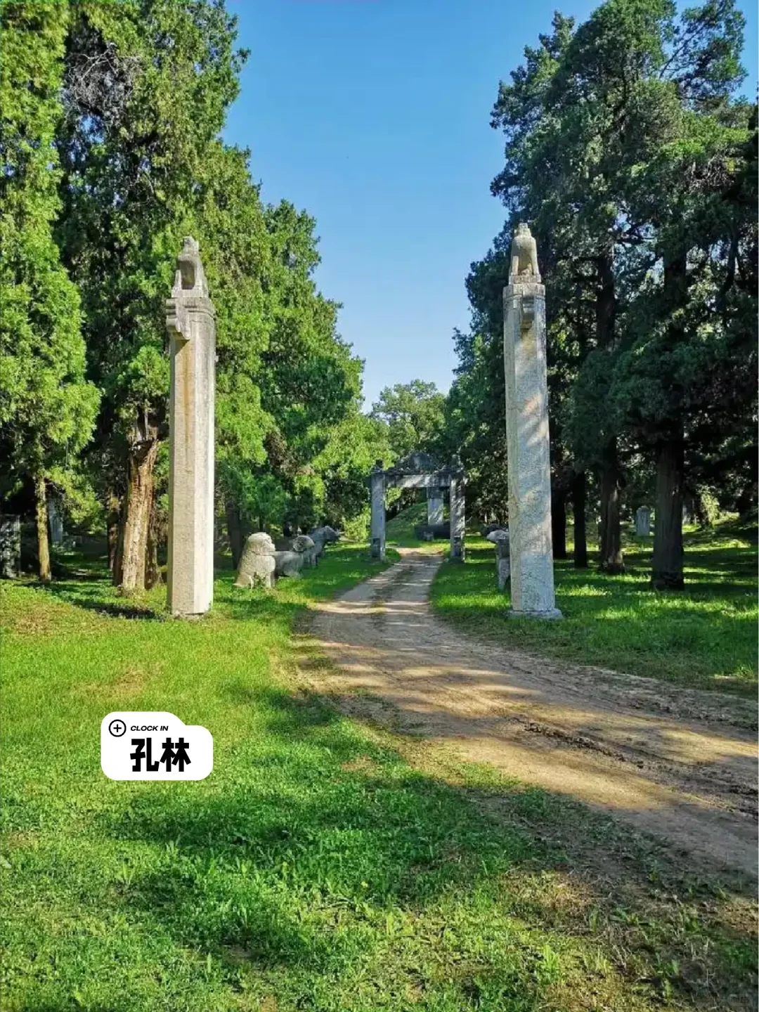 曲阜三大旅行地标超全PK！选对地方不踩雷