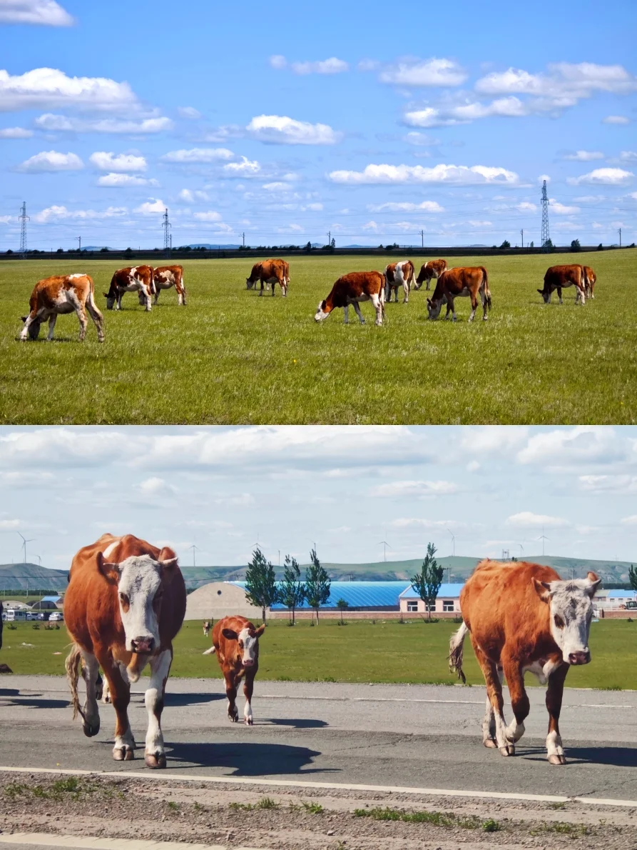 宫崎骏的夏天，谁不向往？不想回去了🤩