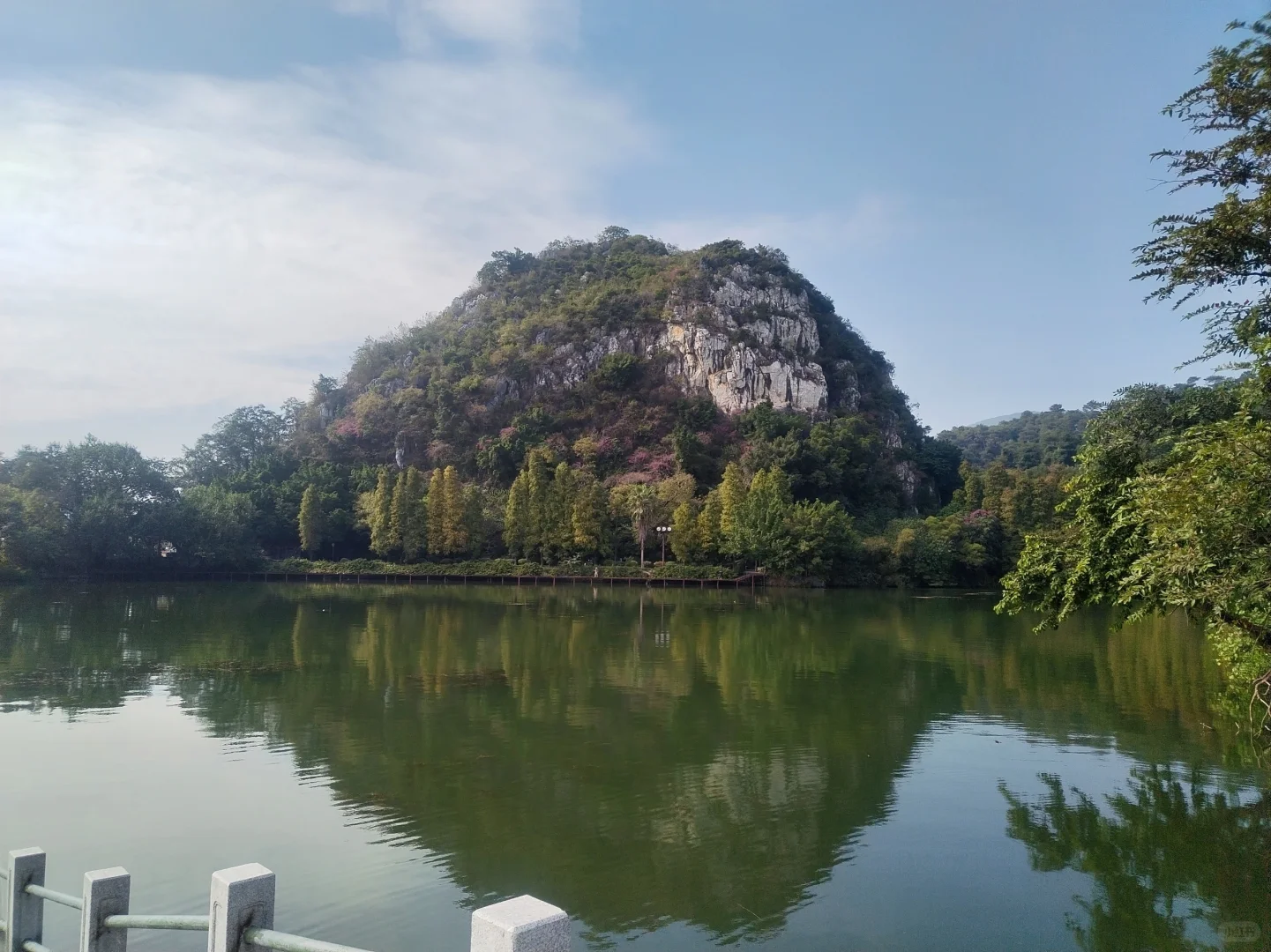 📍肇庆𝘾𝙞𝙩𝙮𝙬𝙖𝙡𝙠