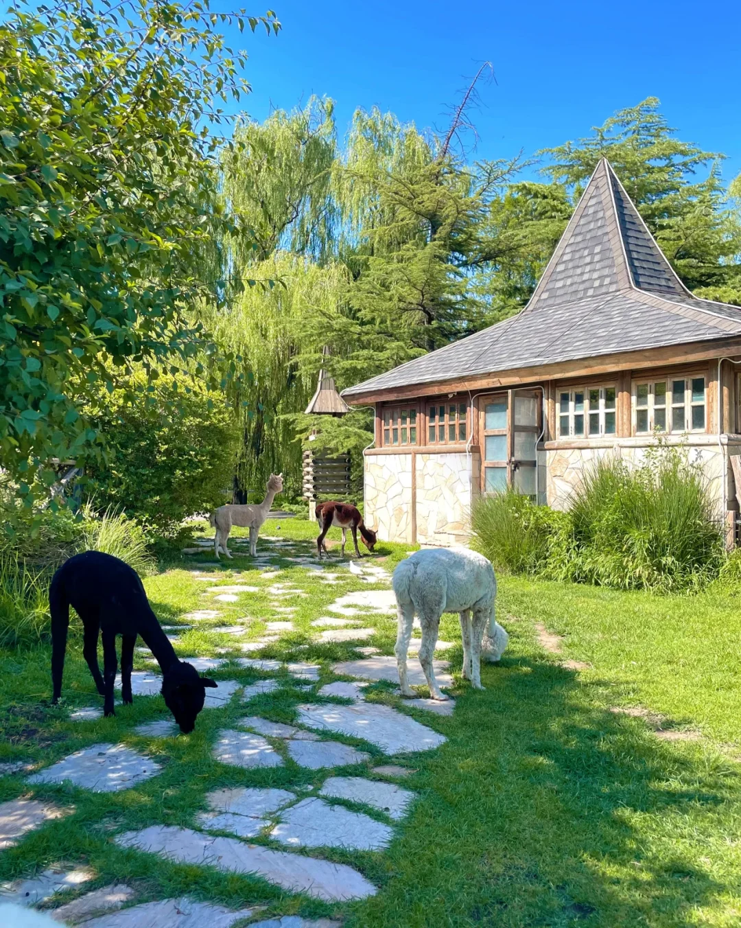 北京周末5个小众秘境｜治愈了我的精神内耗