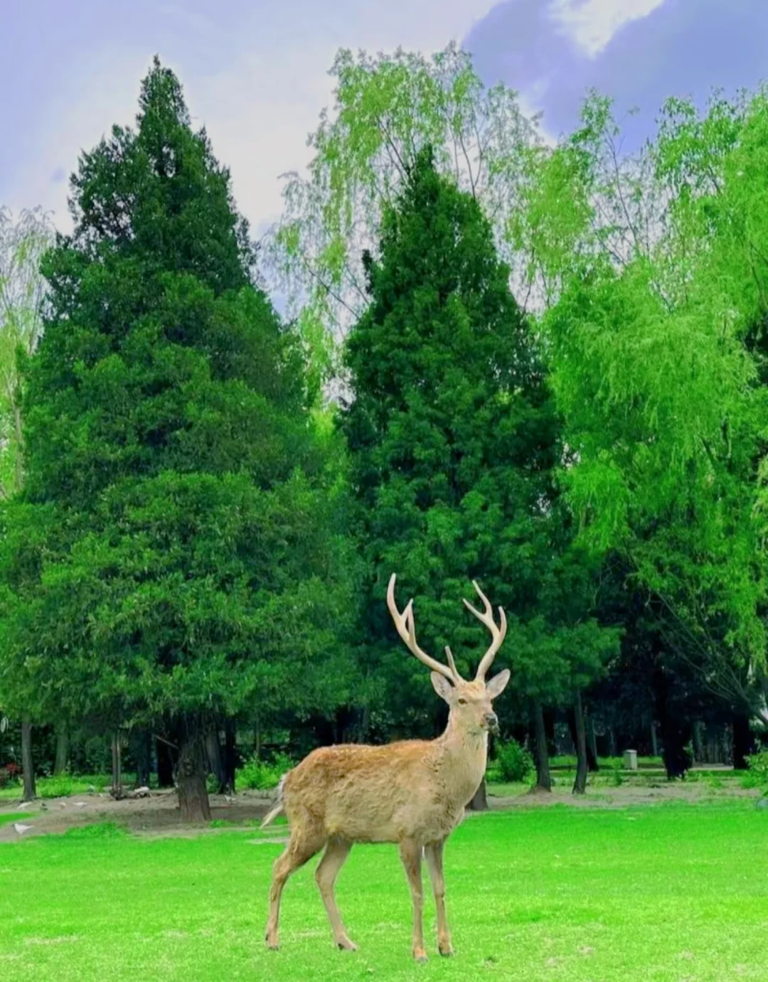 北京周末5个小众秘境｜治愈了我的精神内耗
