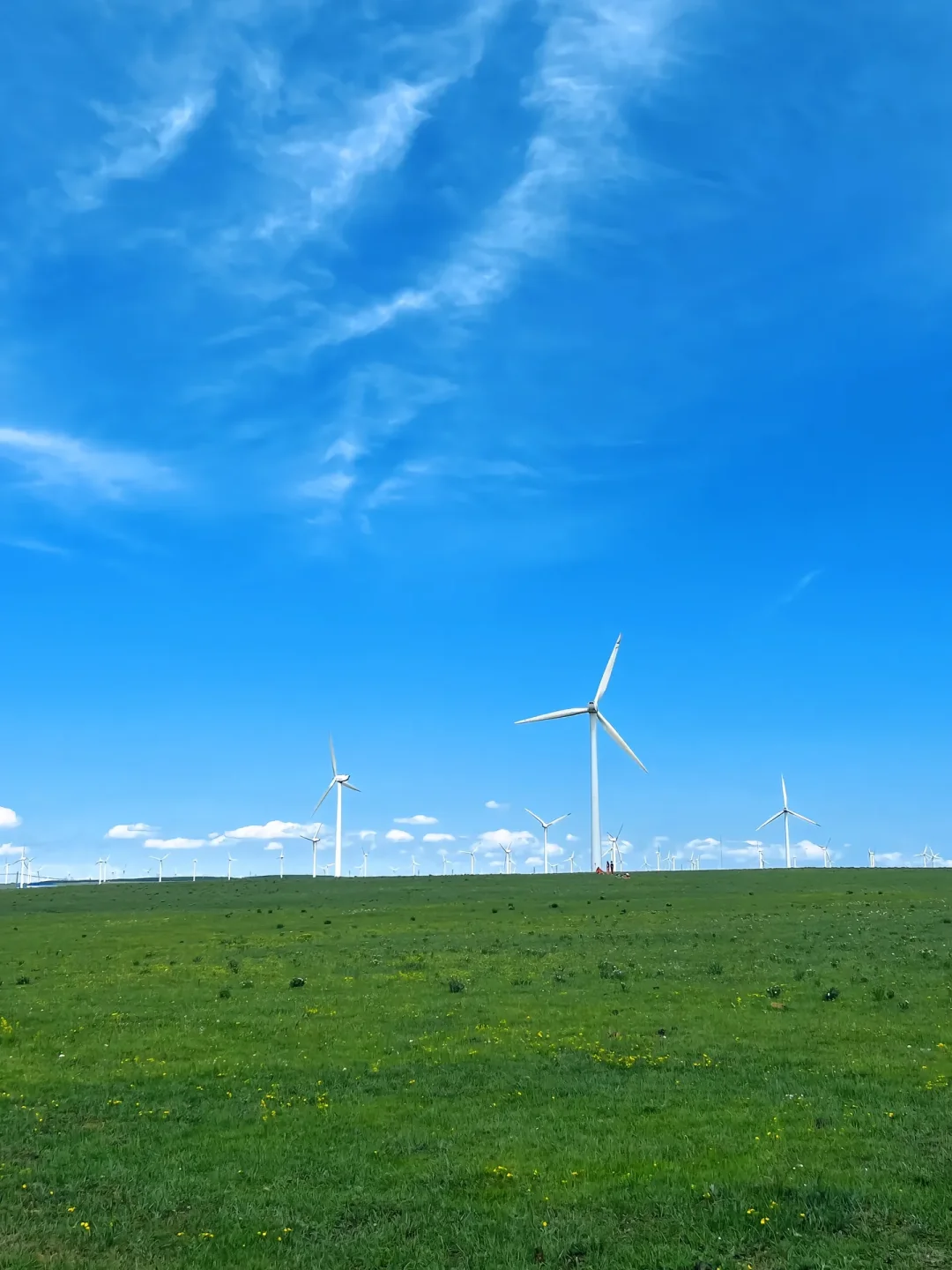 七月来乌兰察布旅游的小哥哥小姐姐们看过来