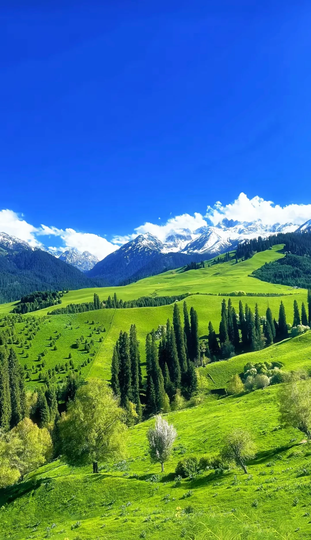 逃离网红城市｜10个被低估的「反向旅行」地