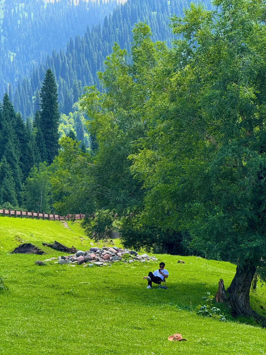 那拉提太美了🍃但是真的要做攻略…