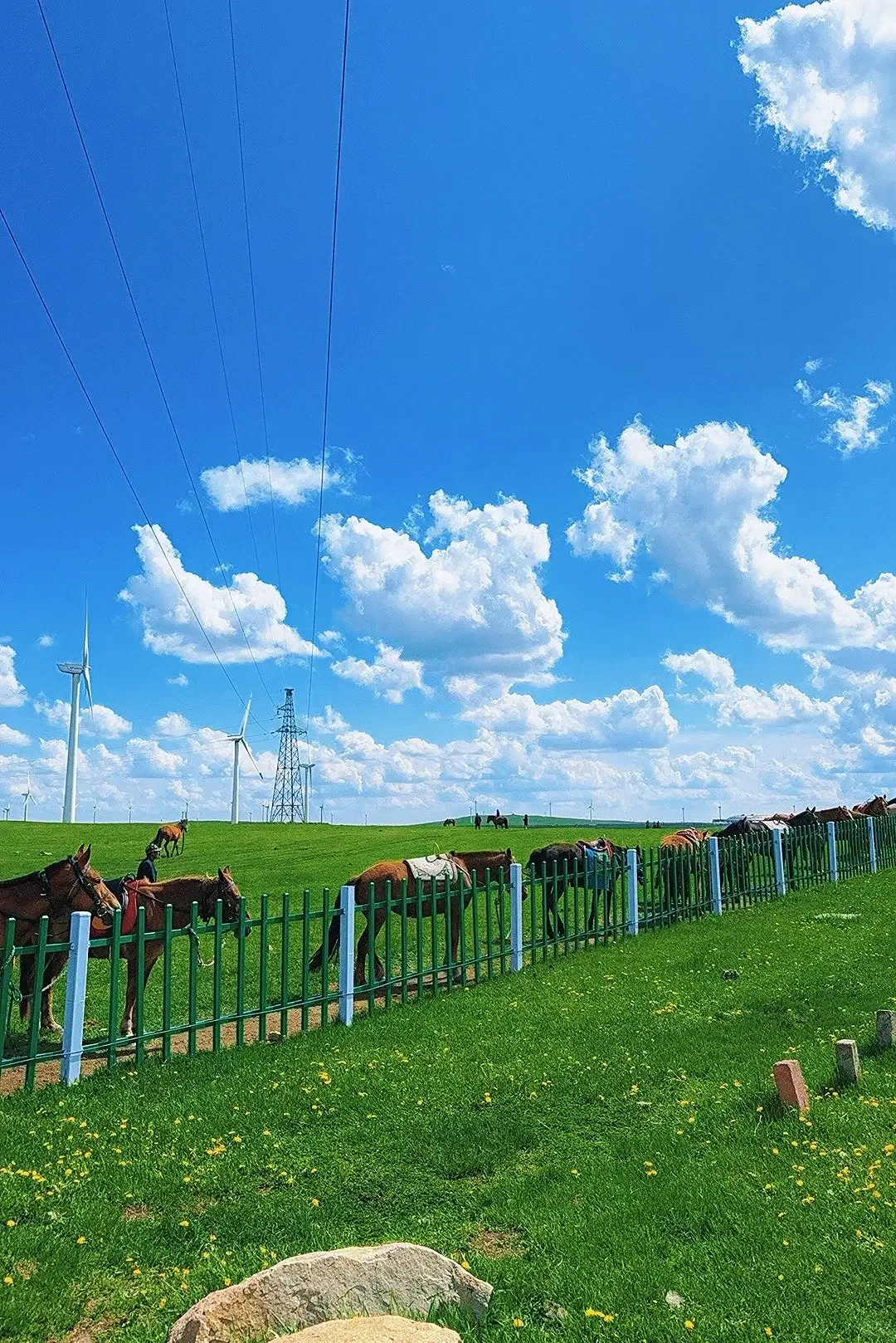 七月来乌兰察布旅游的小哥哥小姐姐们看过来