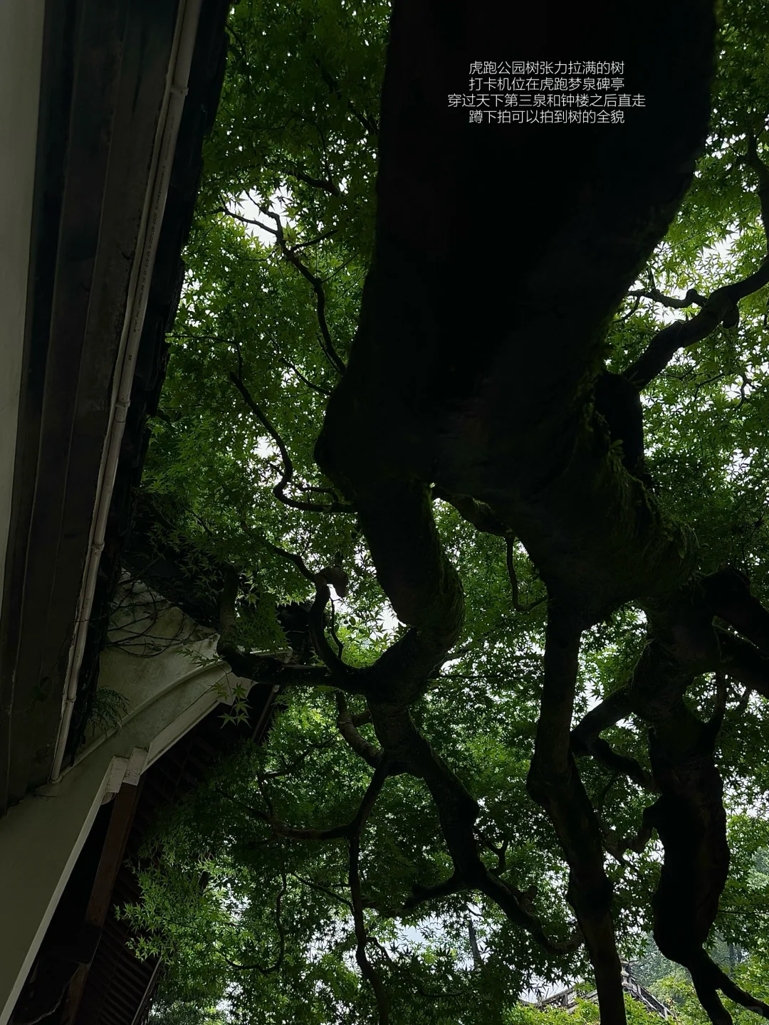 ：在杭州 淡人48h旅游攻略（附路线时间详细版