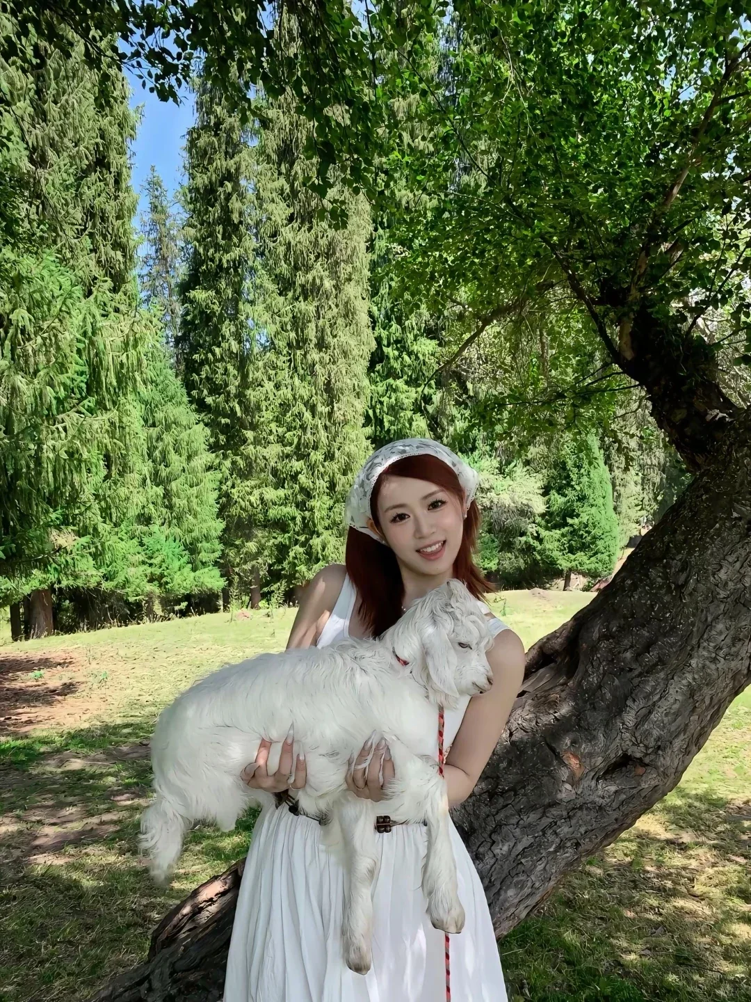 带同事去报了个新疆纯玩团被惊艳到了（无广