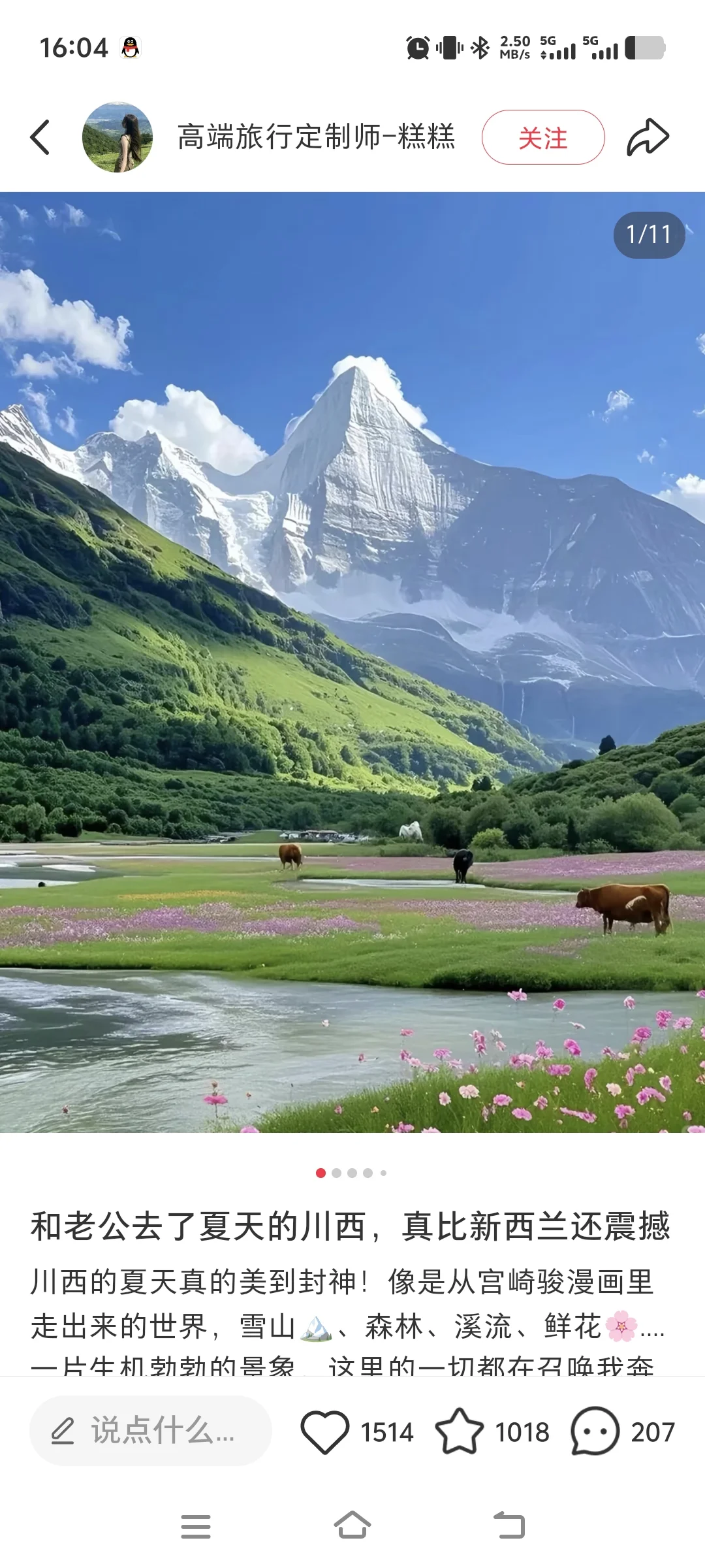 好的好的，你们都比新西兰震撼😳