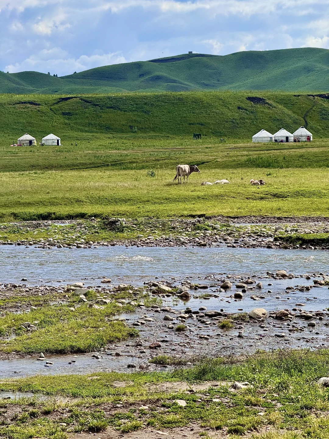 那拉提太美了🍃但是真的要做攻略…