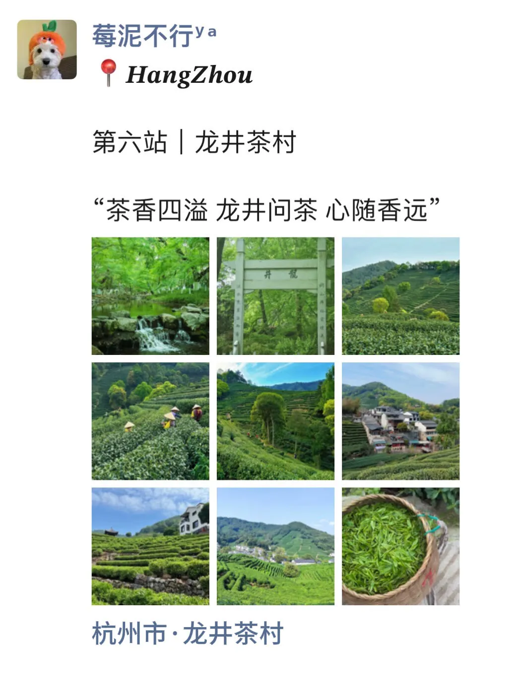 至于吗🥲这姐去杭州 发了15条朋友圈😳