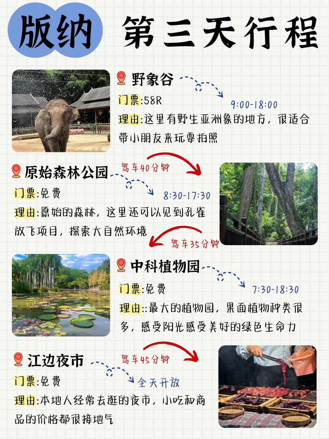 哇塞❗哪里找到这么全的版纳游玩攻略